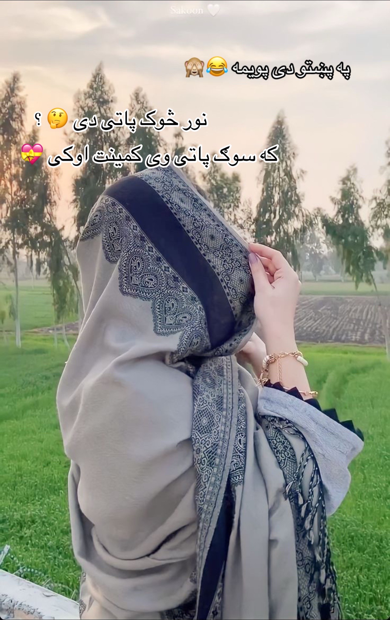@ننګرهاری ☆♡☆ پیشو ☆♡☆