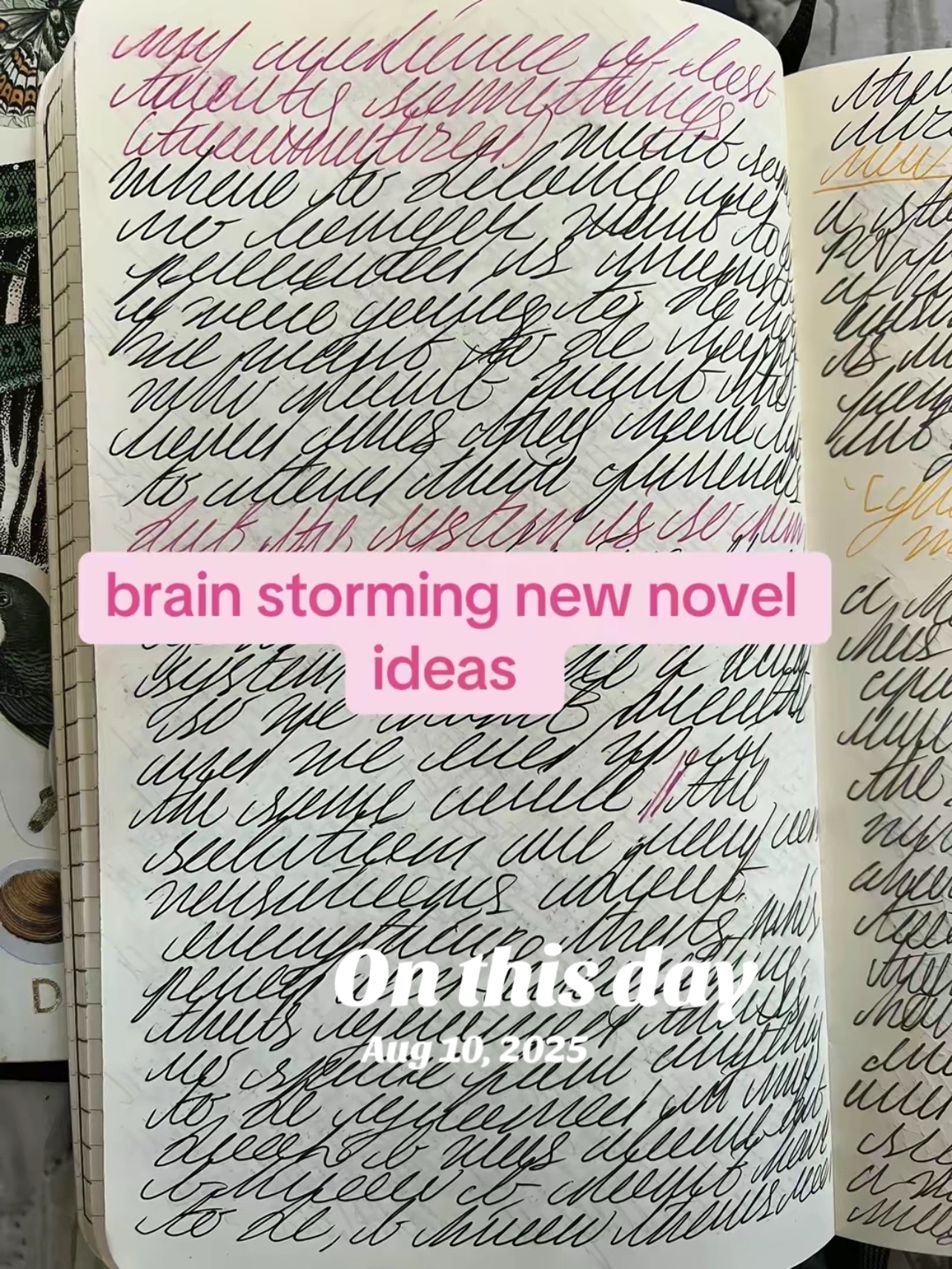 @Dylan | Writer | CC 📚🦋