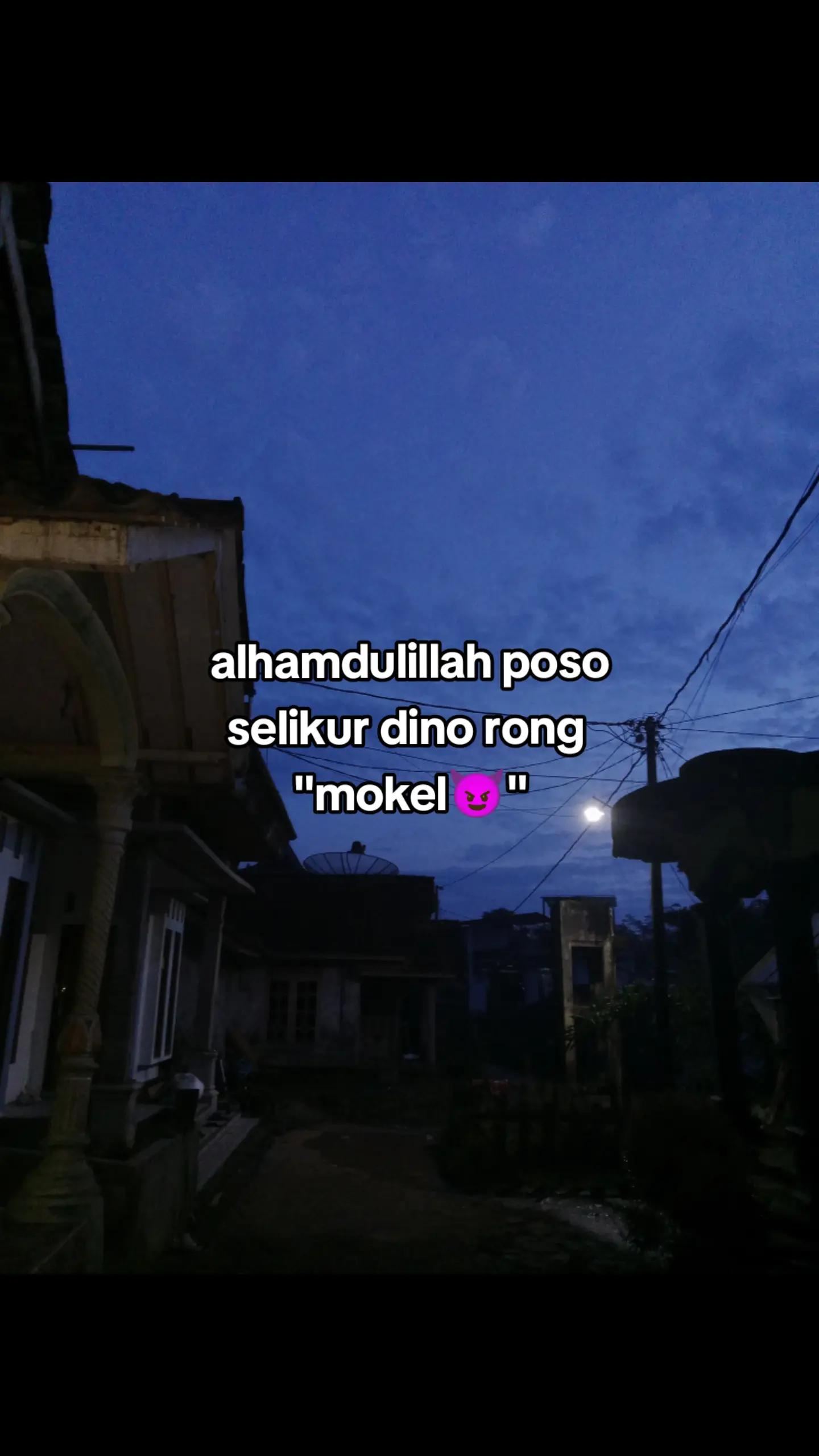 @𝗰𝗲𝗻𝗱𝗼𝗹 .co🚀