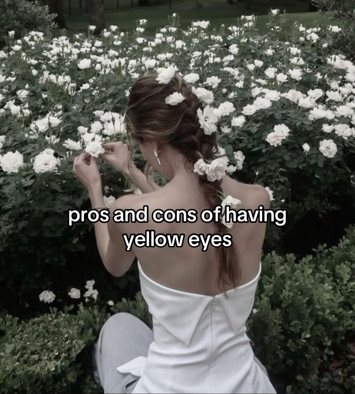 @hookedonbooks