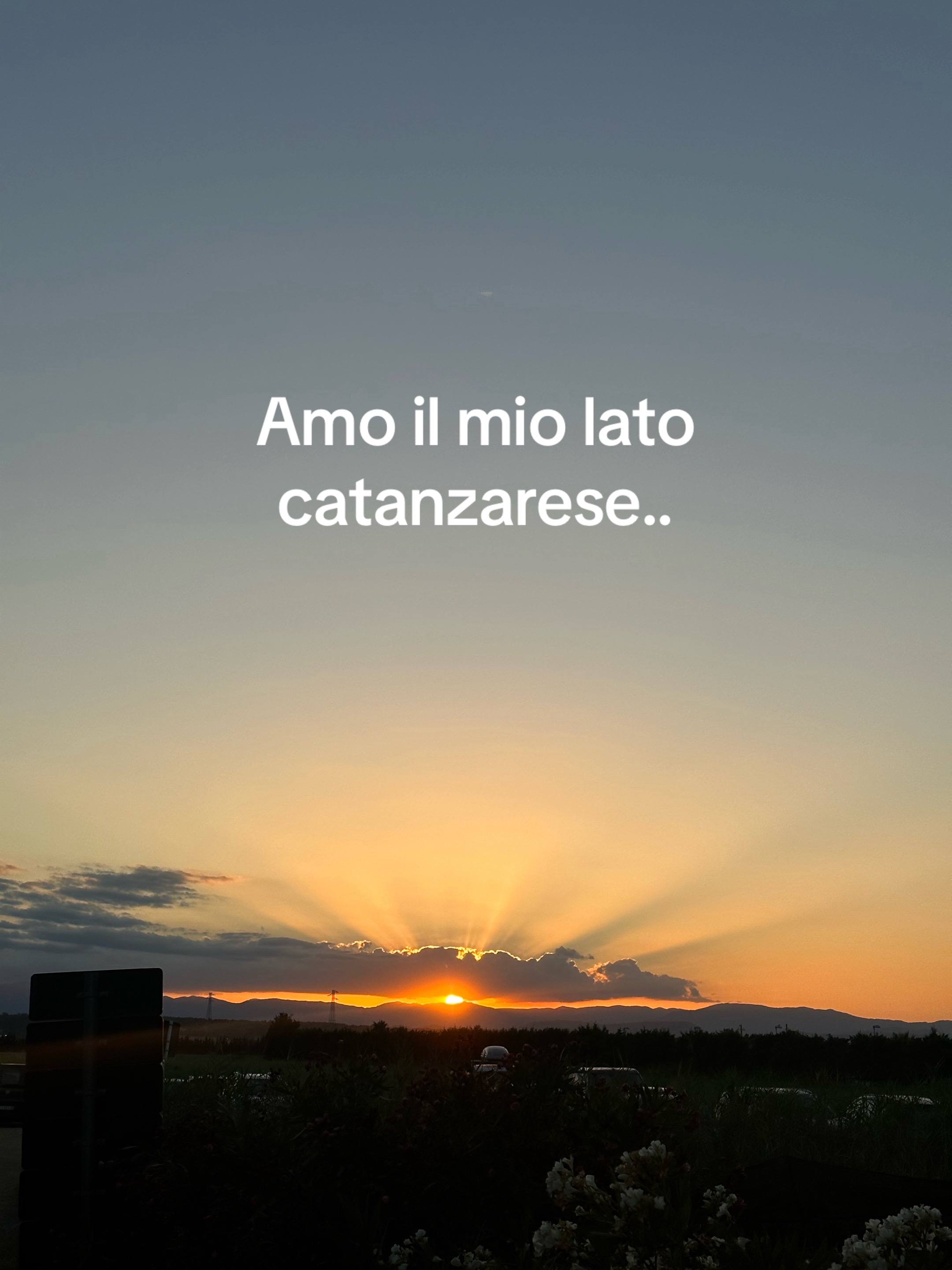 @Francesco Cosco