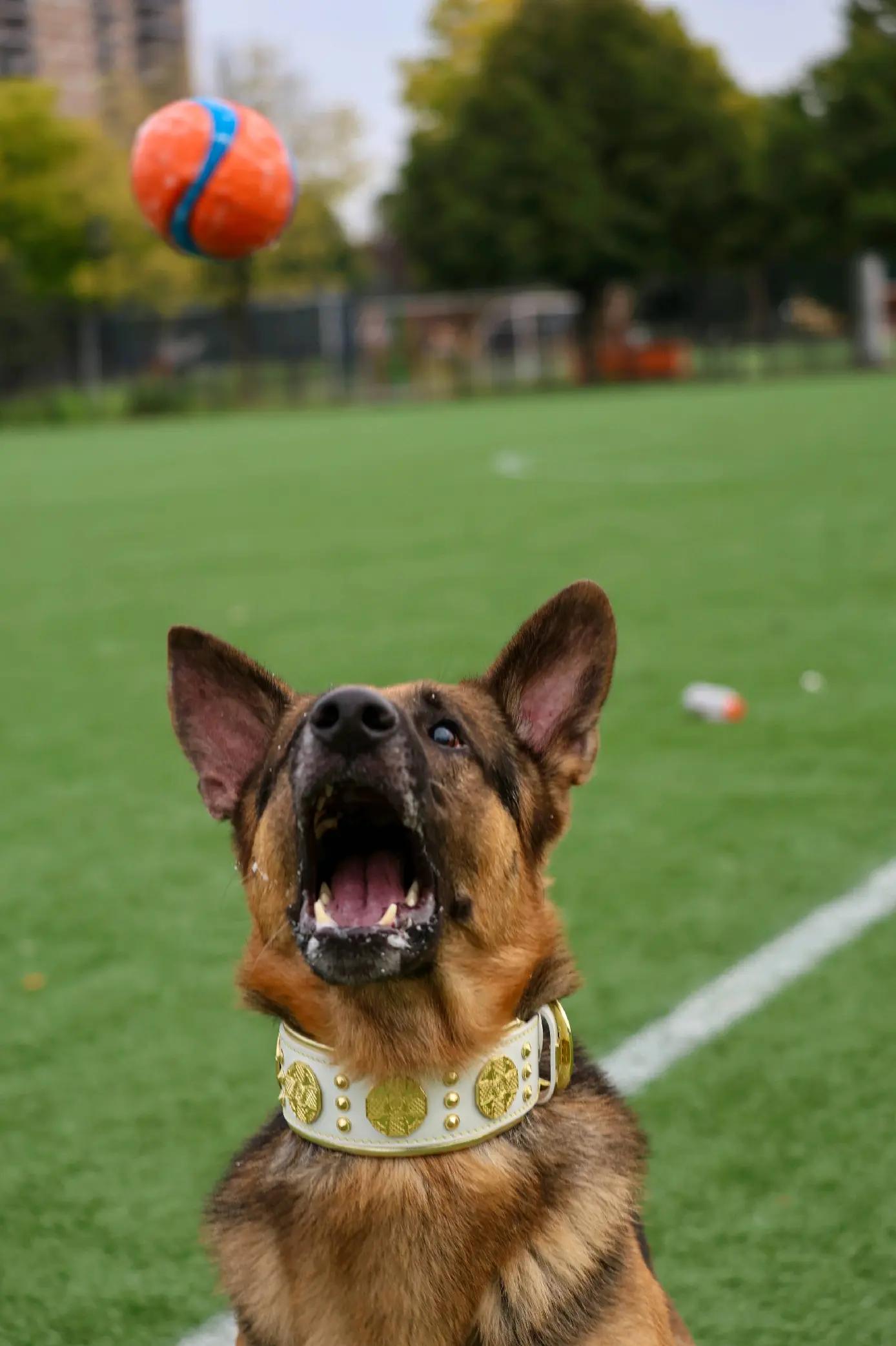 @GSD.PRIDE