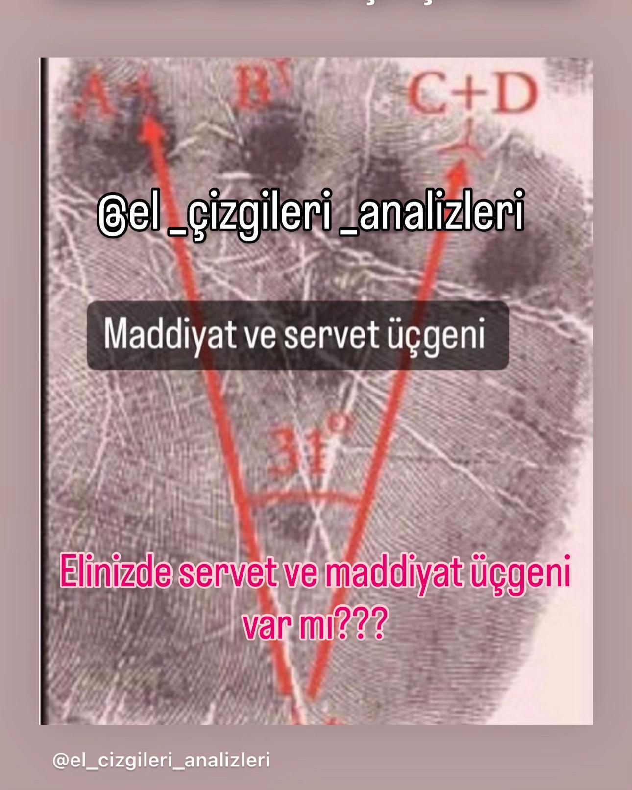 @Fizyomonist .Berk