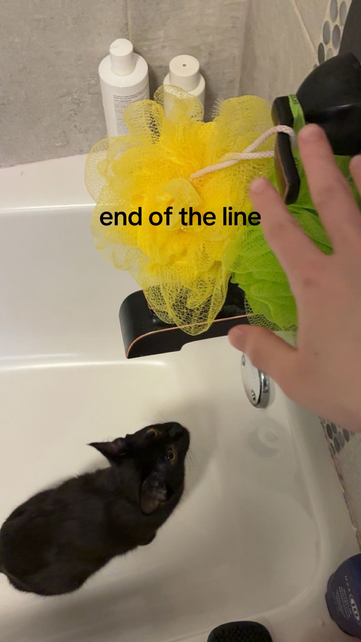 @schmizzles