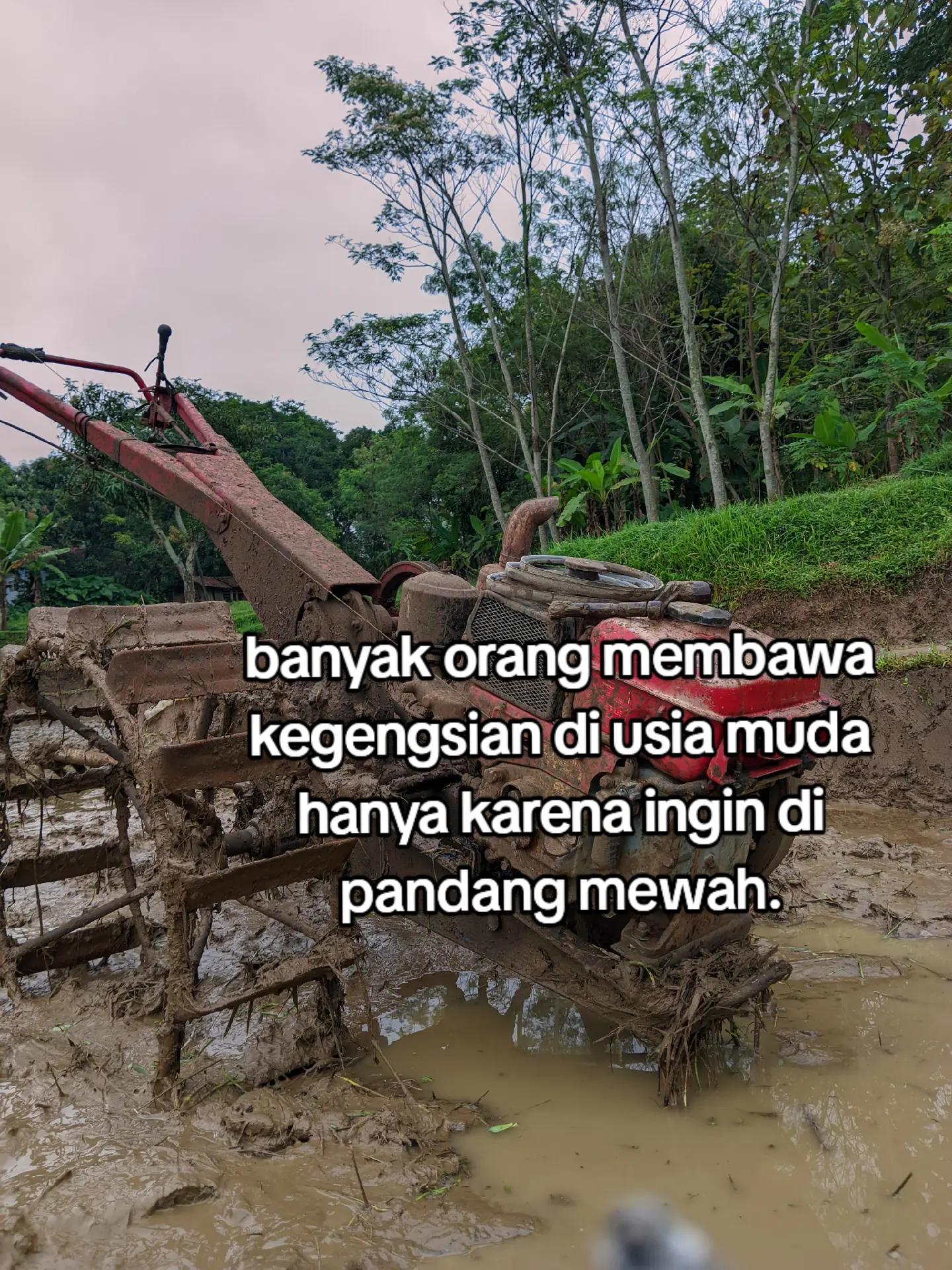 @BUNGSU