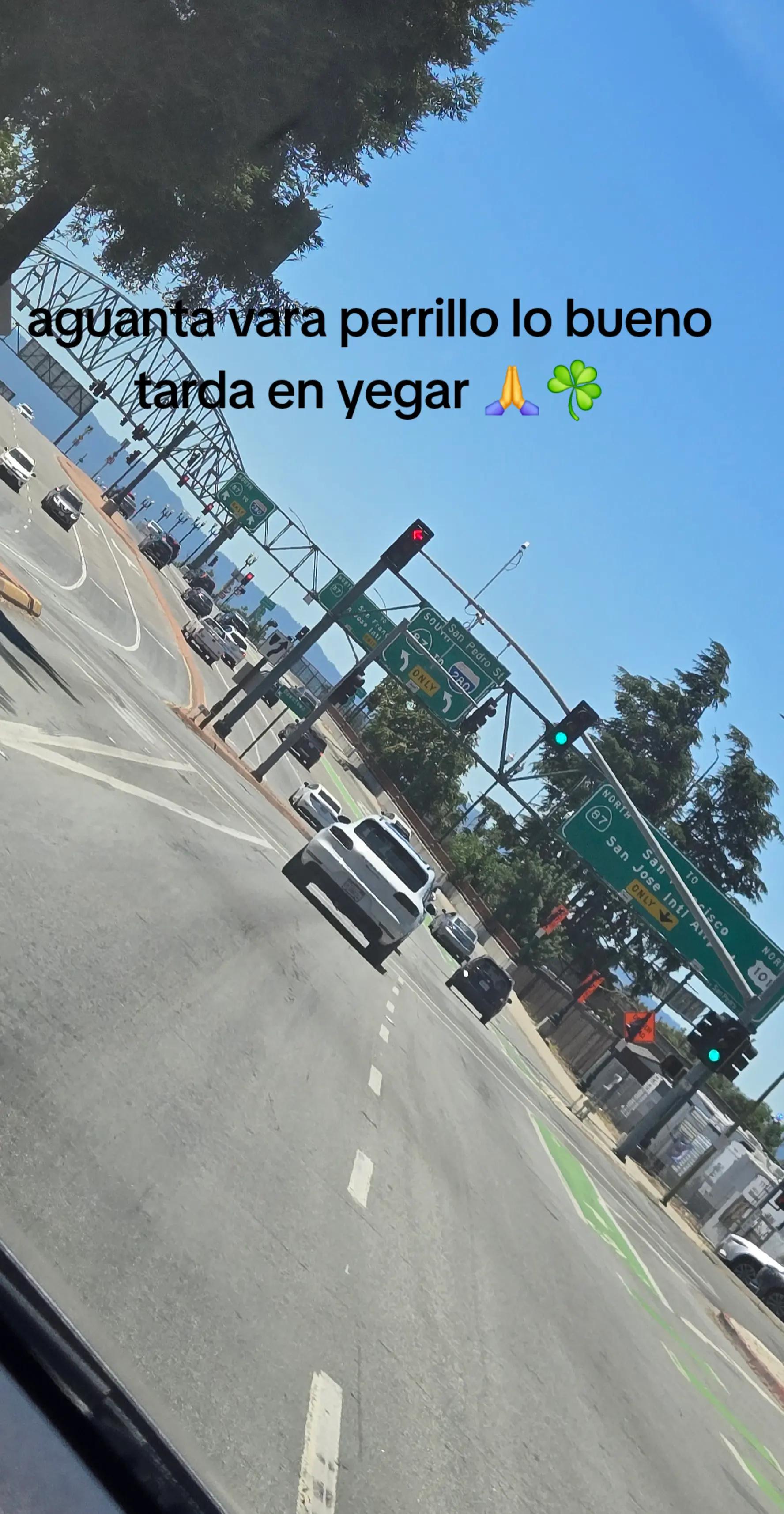 @REYES🦜