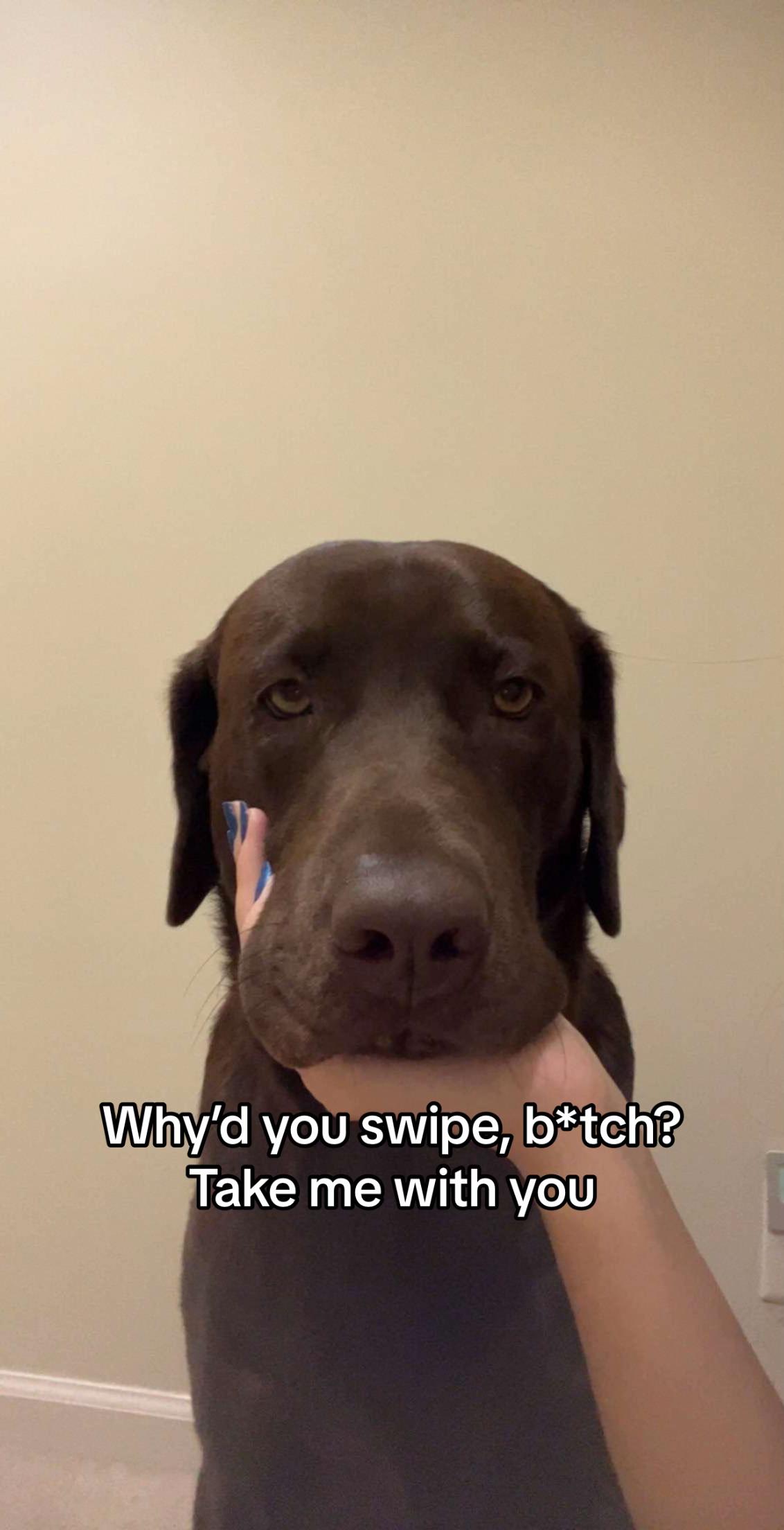 @Boo Bear