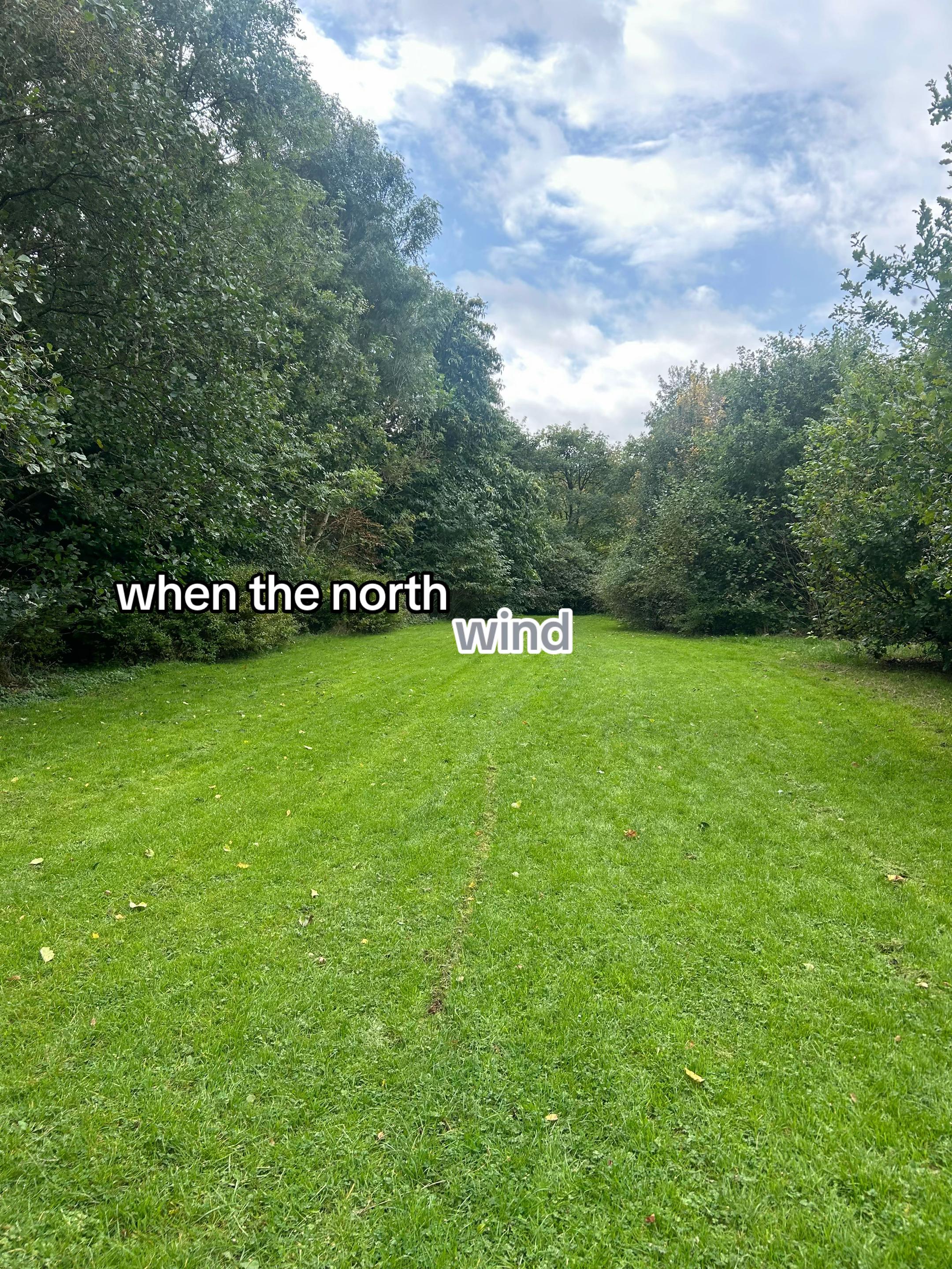 @mileyᵇᵉ