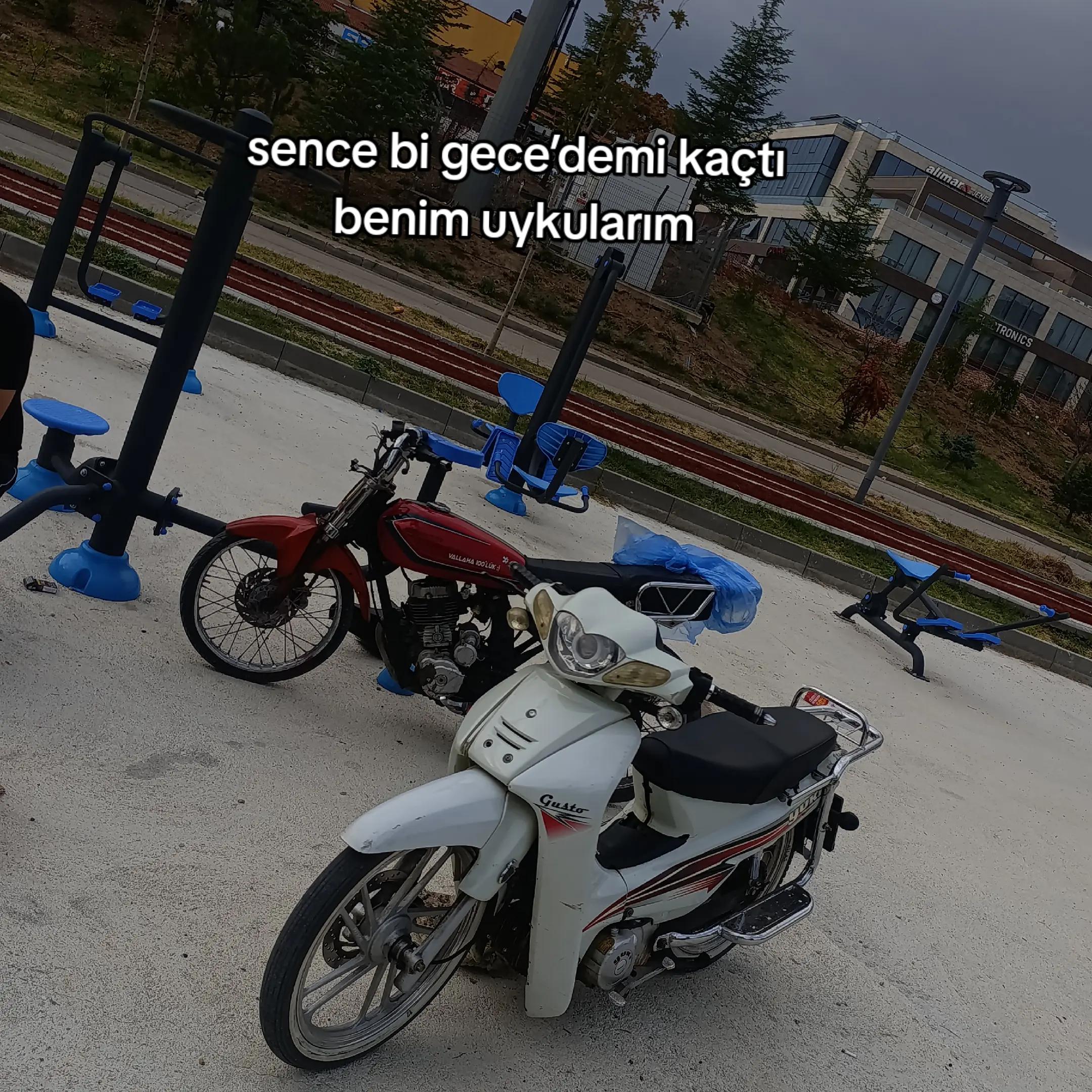@Haydar uzun✍️