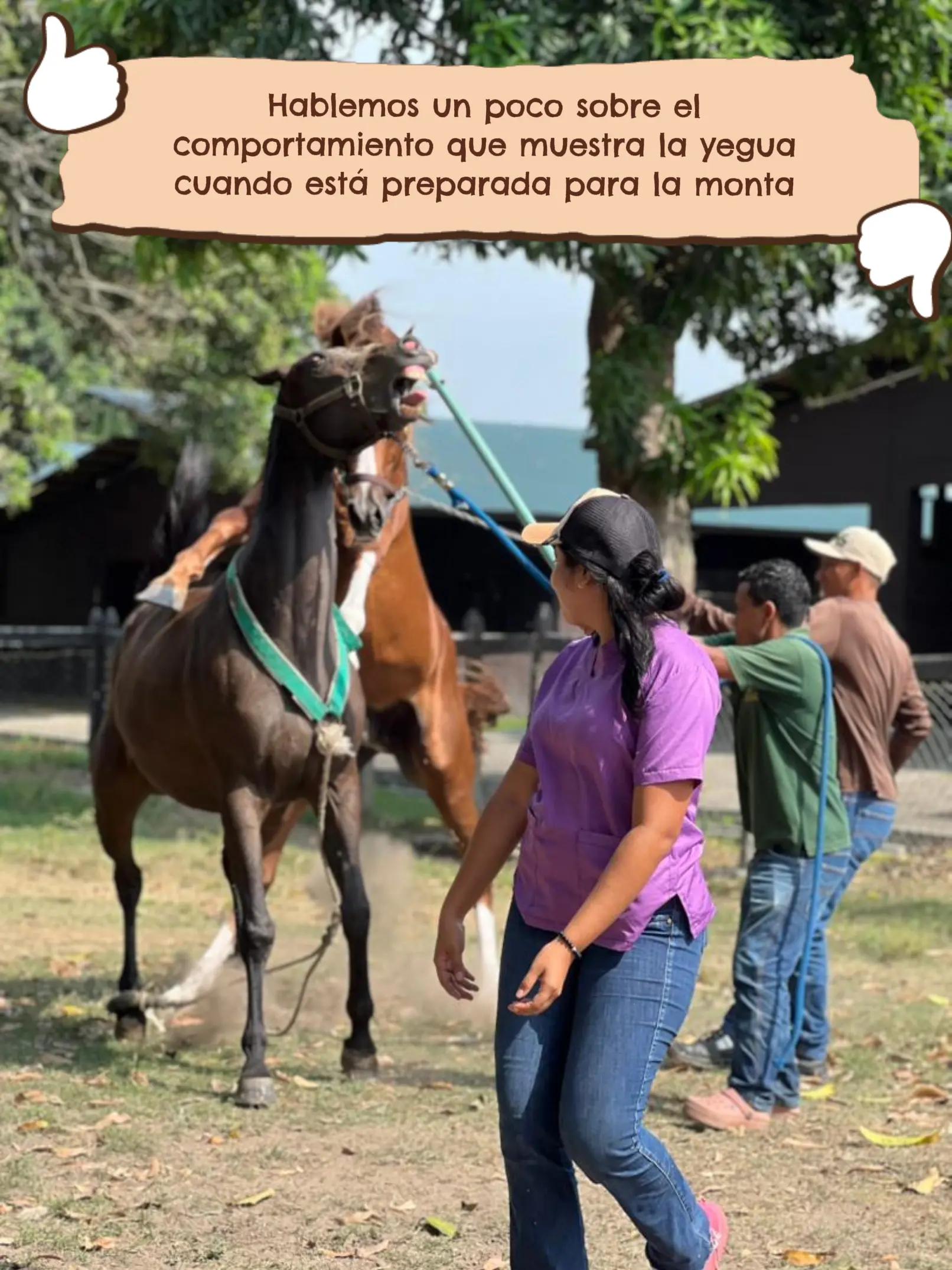 @Mariangel Ocanto :)