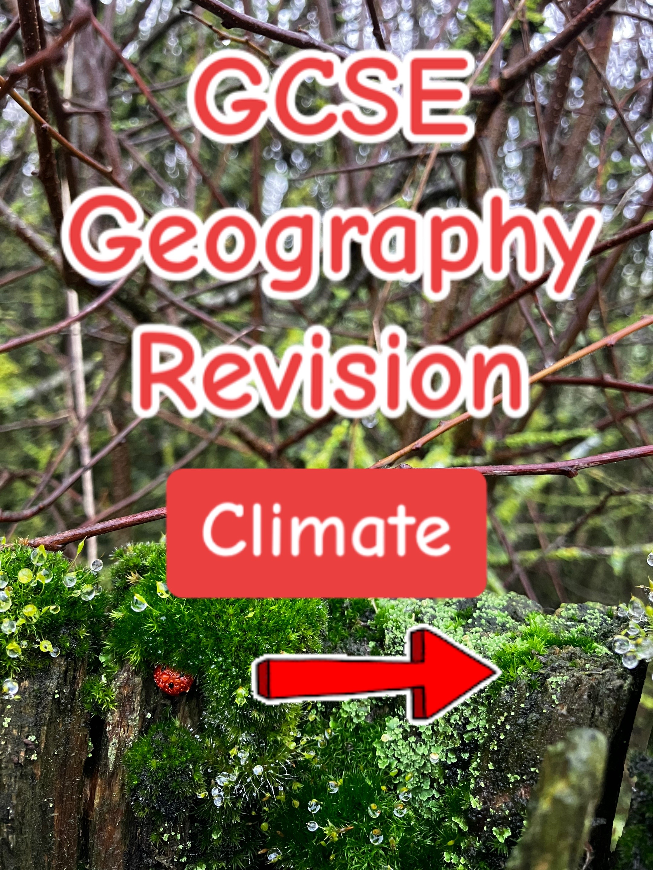 @geog.gcse