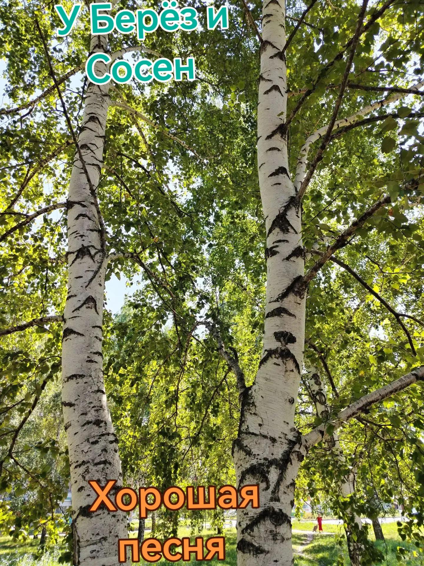 @Валентина