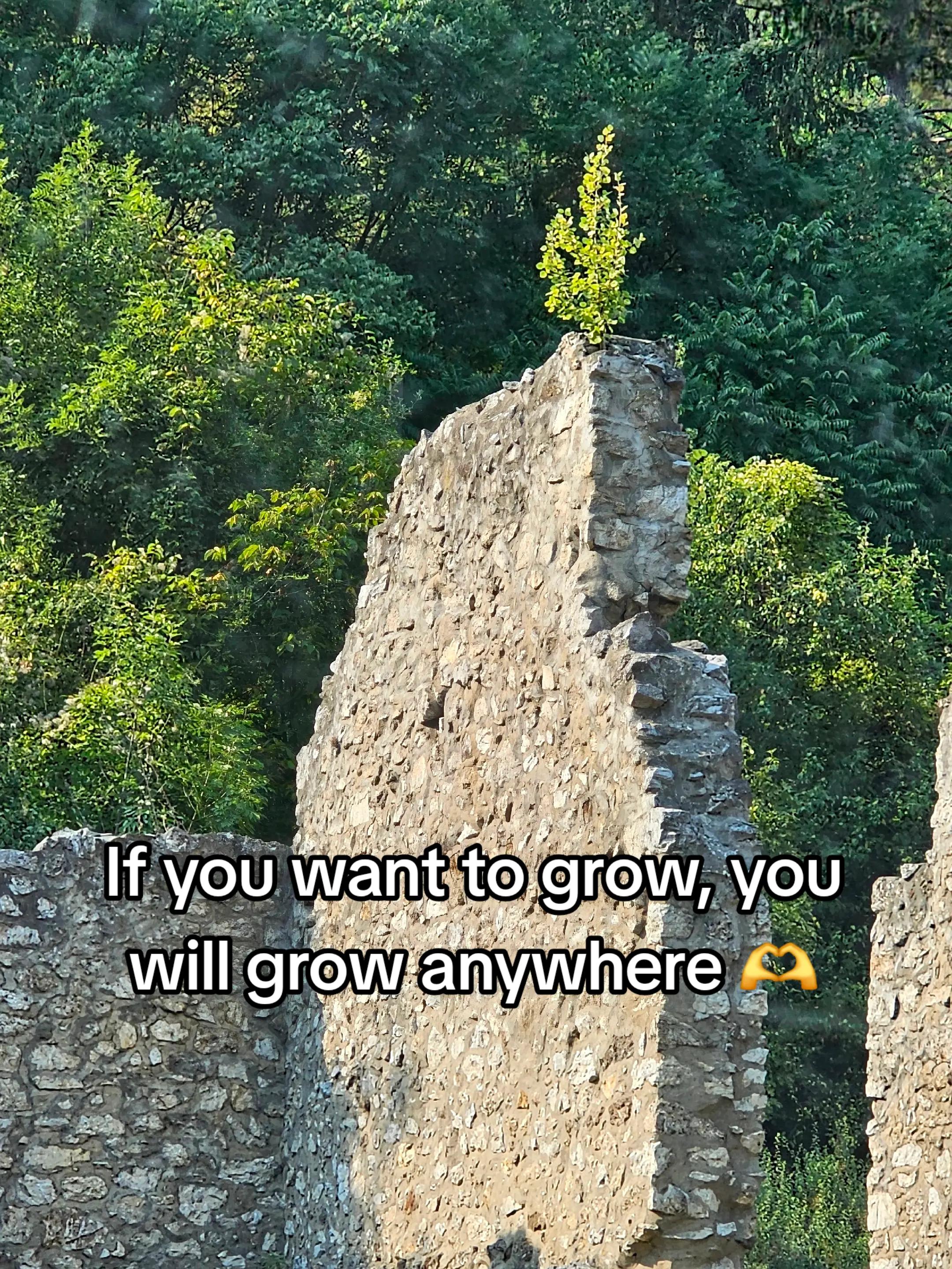 @Diana Radu