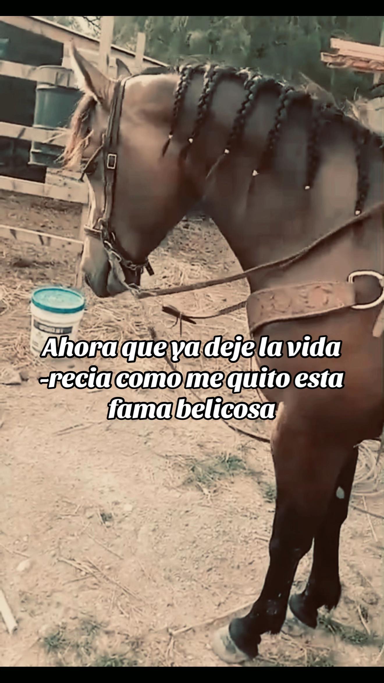 @Victor