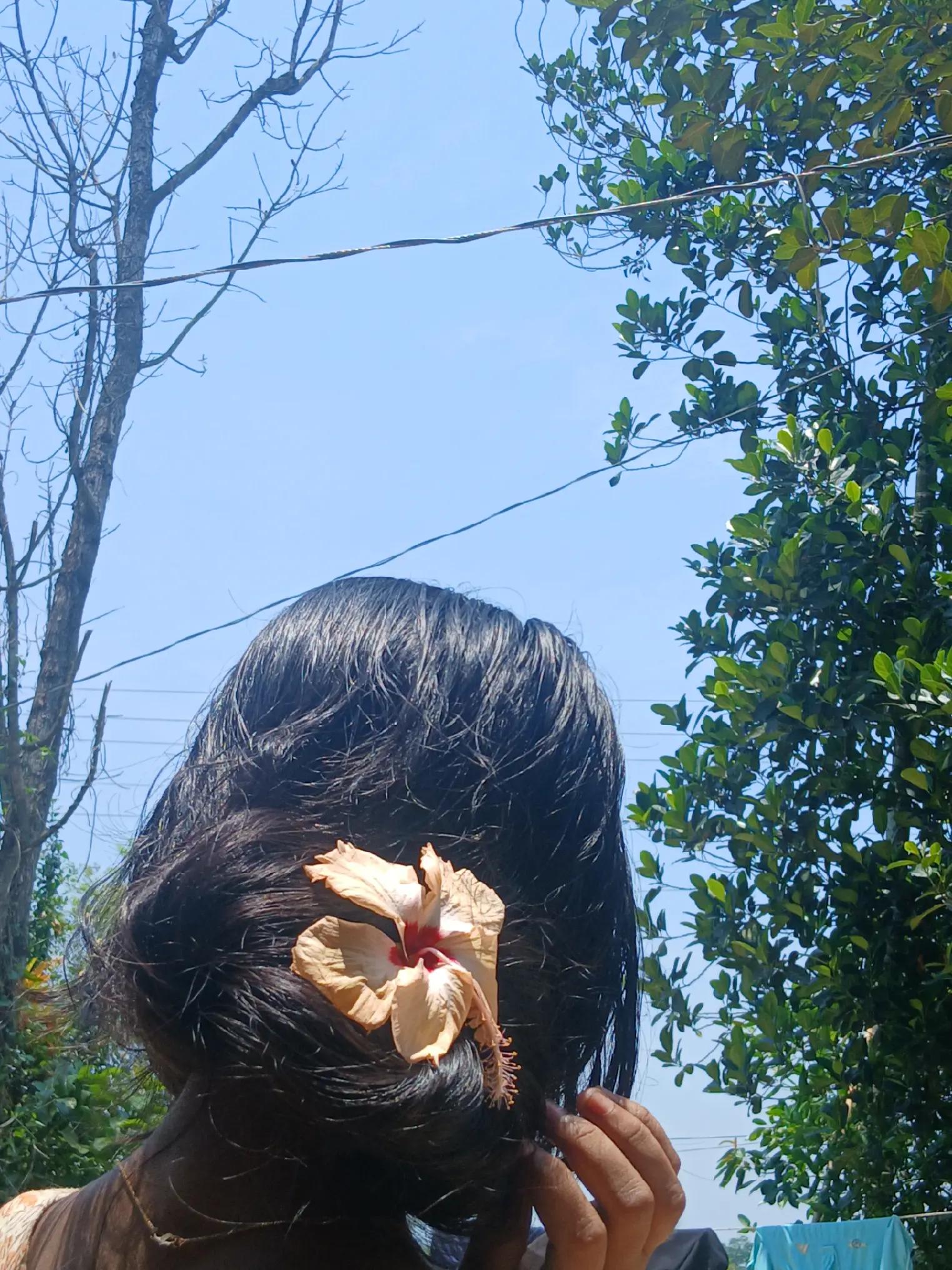 @🥰অচিন পাখি🕊️🍁❤️