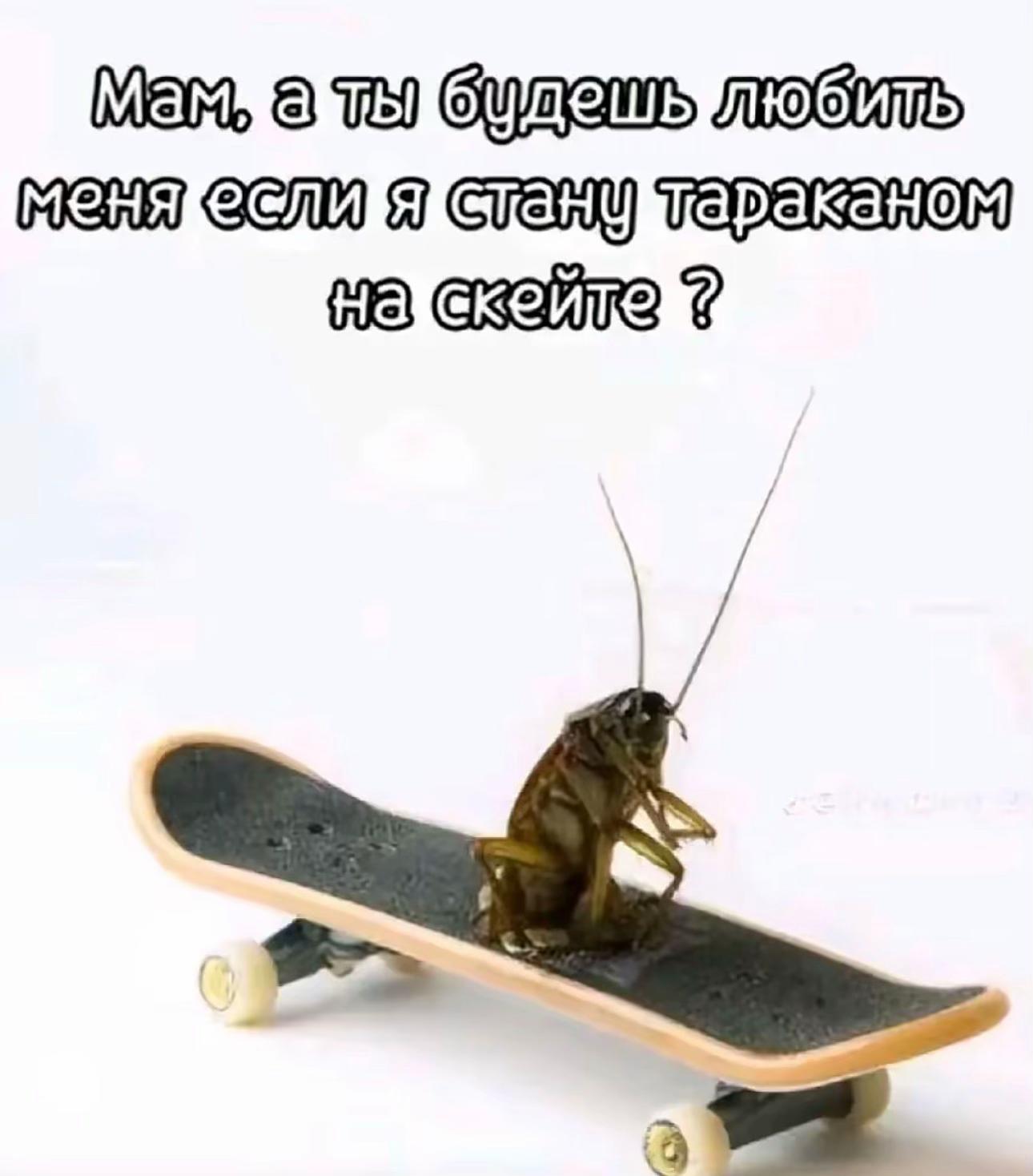 @зови меня хозяйка