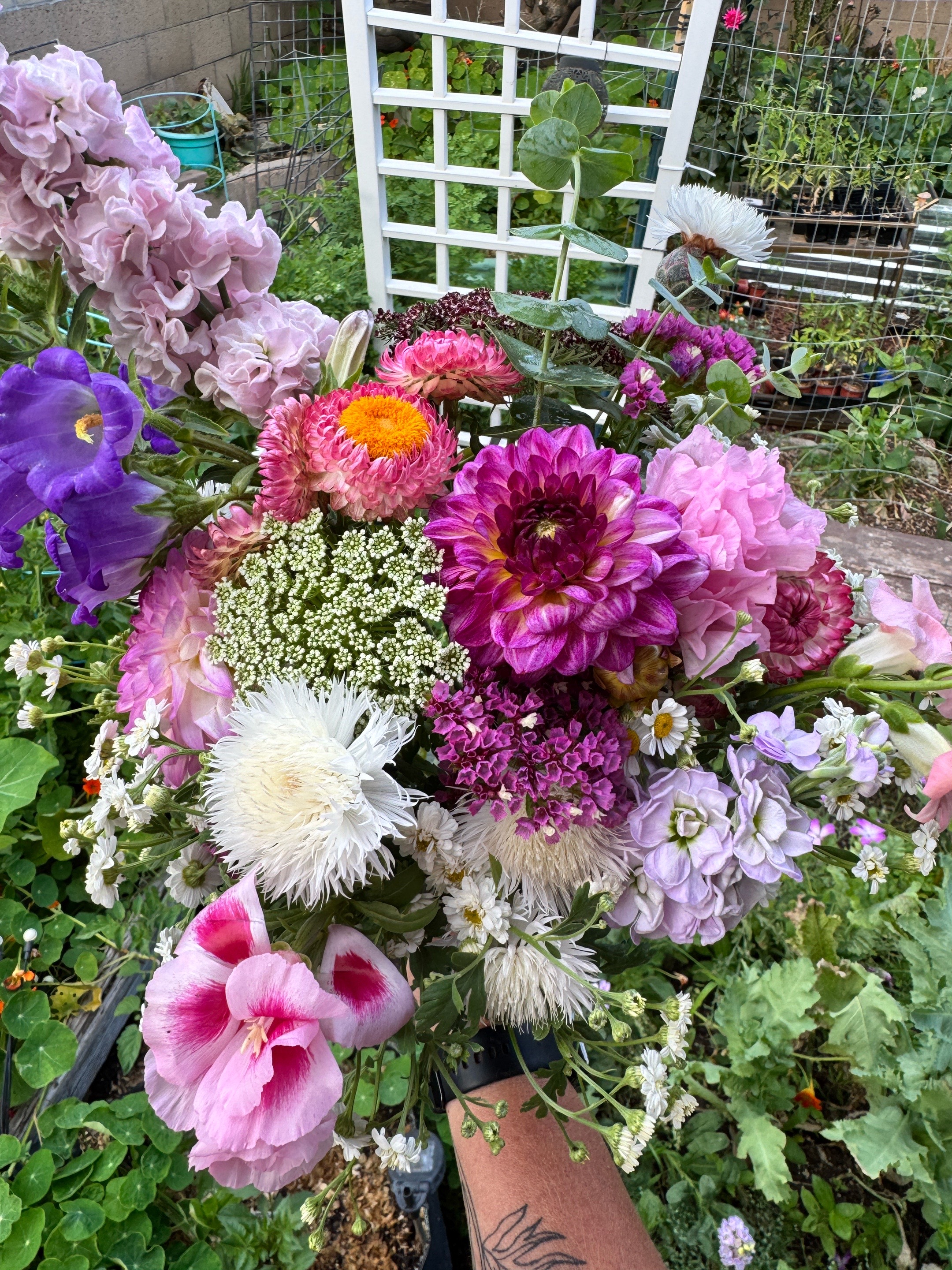 @Rylee&rsquo;s Blooms