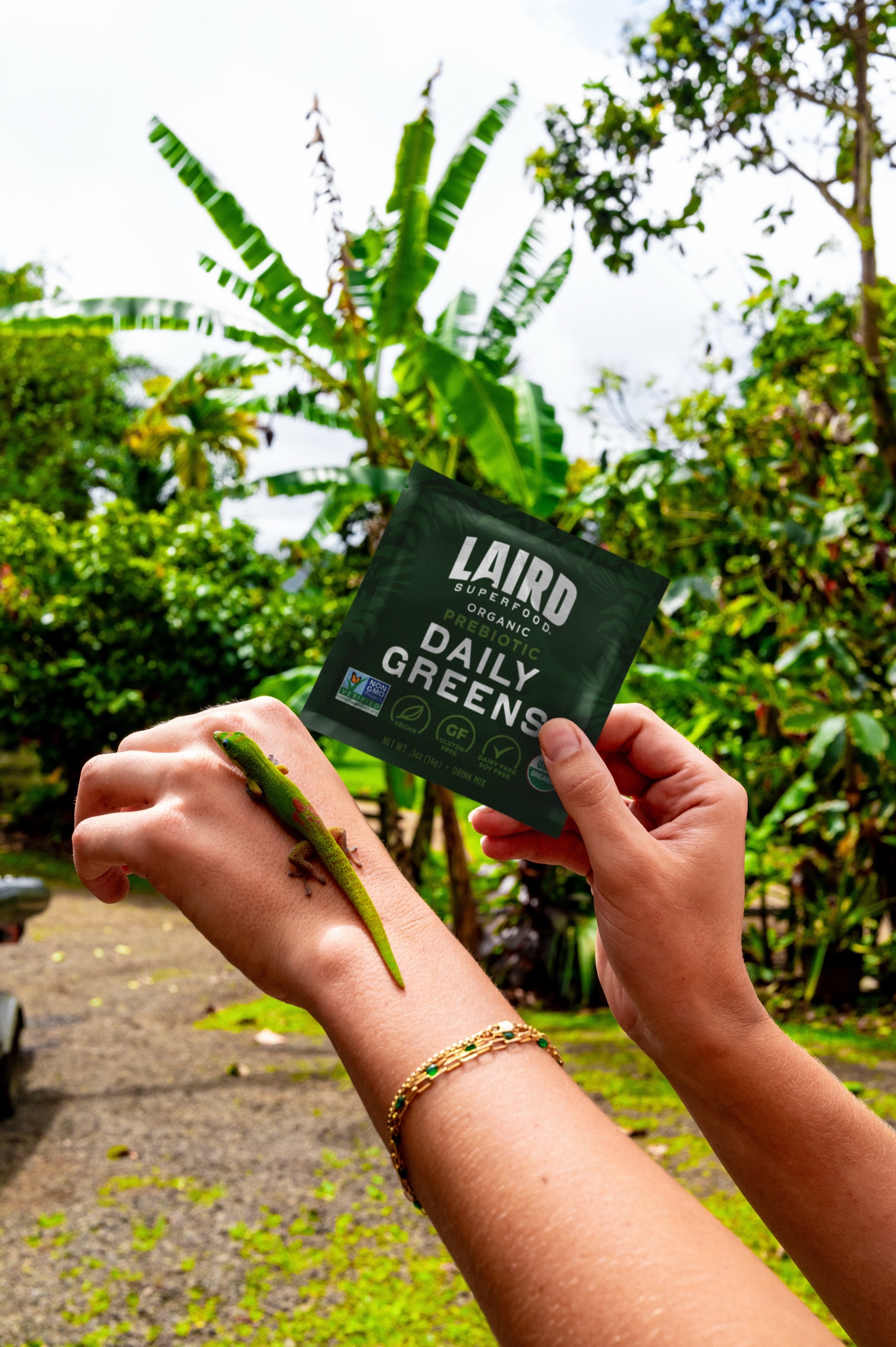 @lairdsuperfood