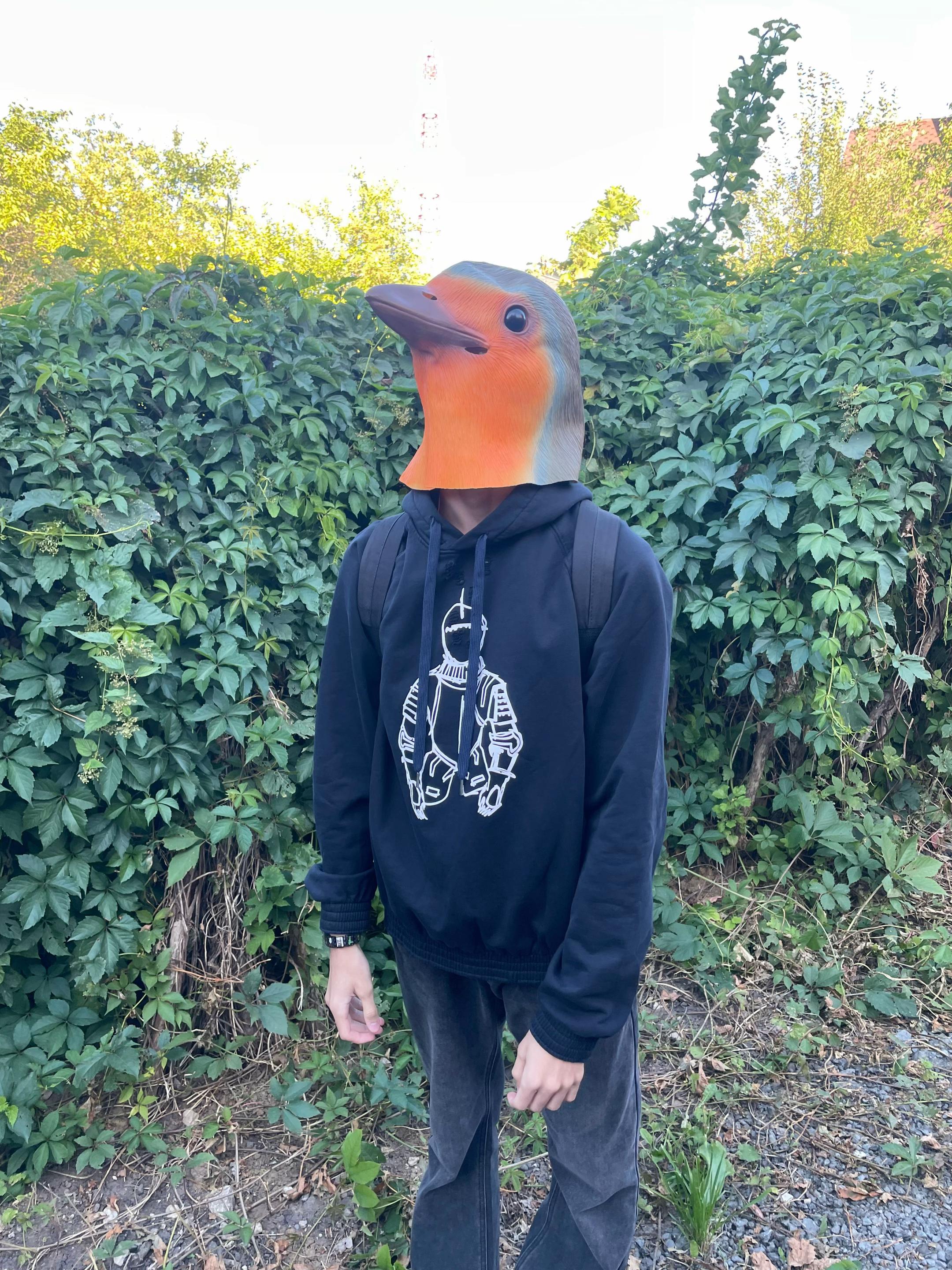@тгк:abelfelony