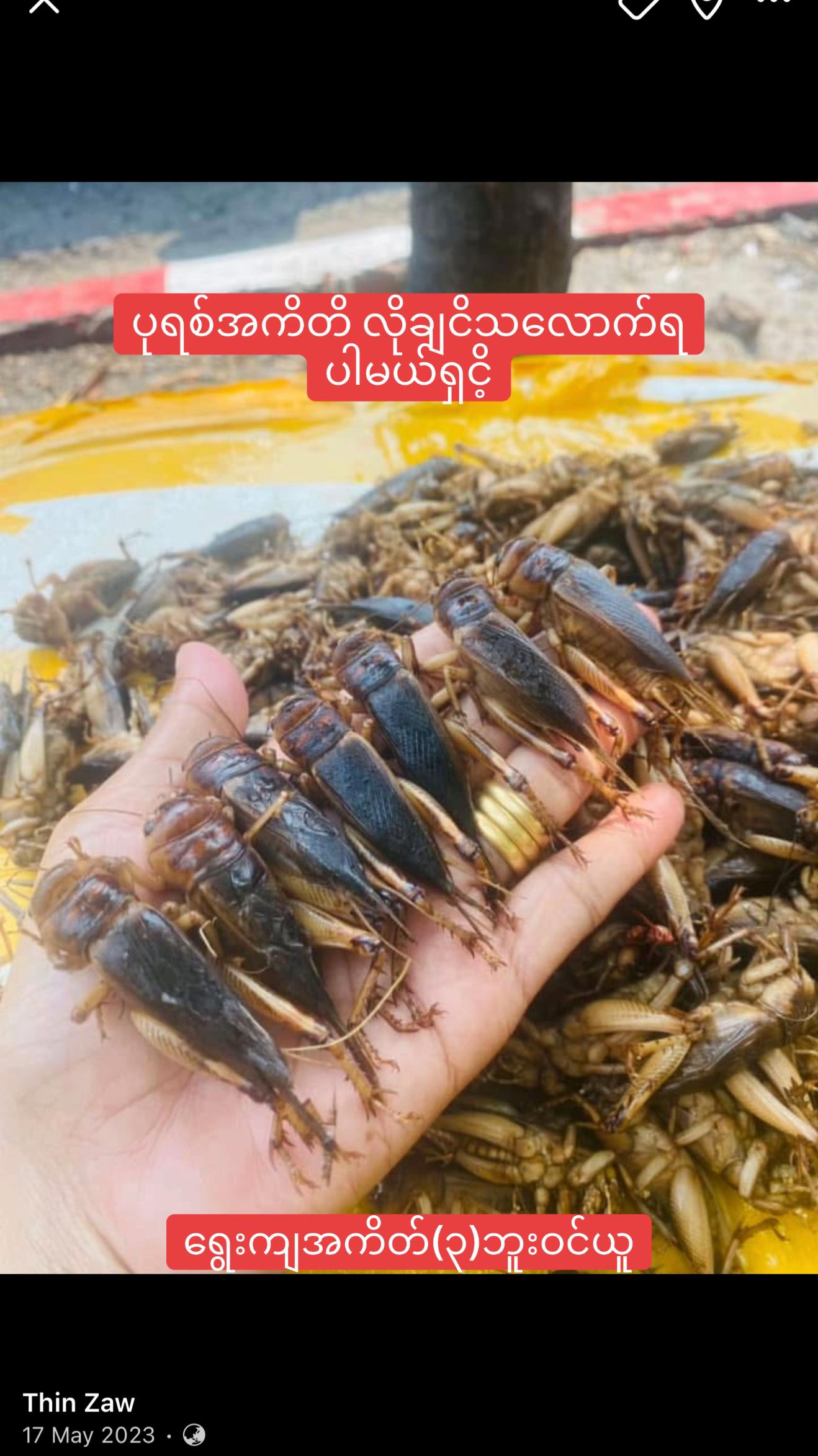 @đŚááááşáááşáᏠááŻáá
áşááźáąáŹáşđŚ