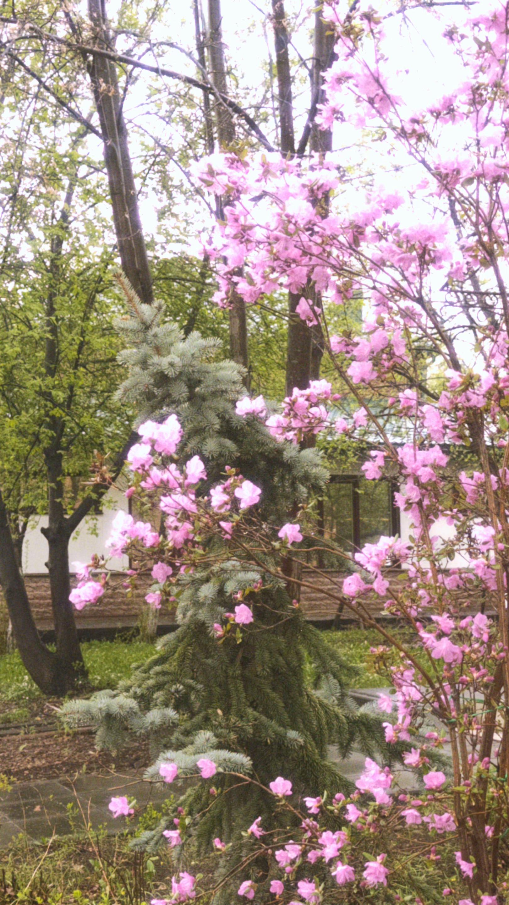 @𝒮𝒶𝓈𝒽𝒶🪽
