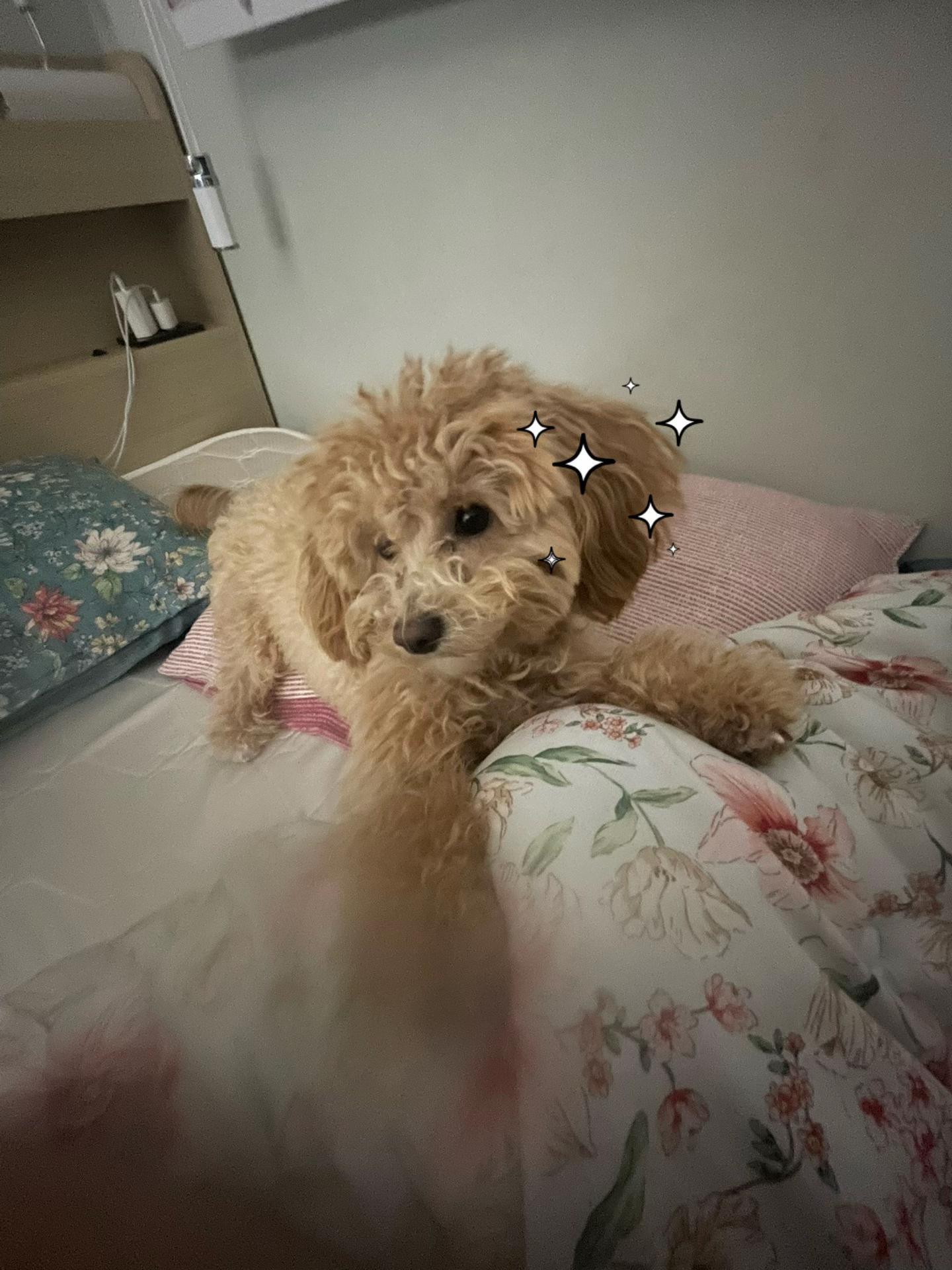 @박선의