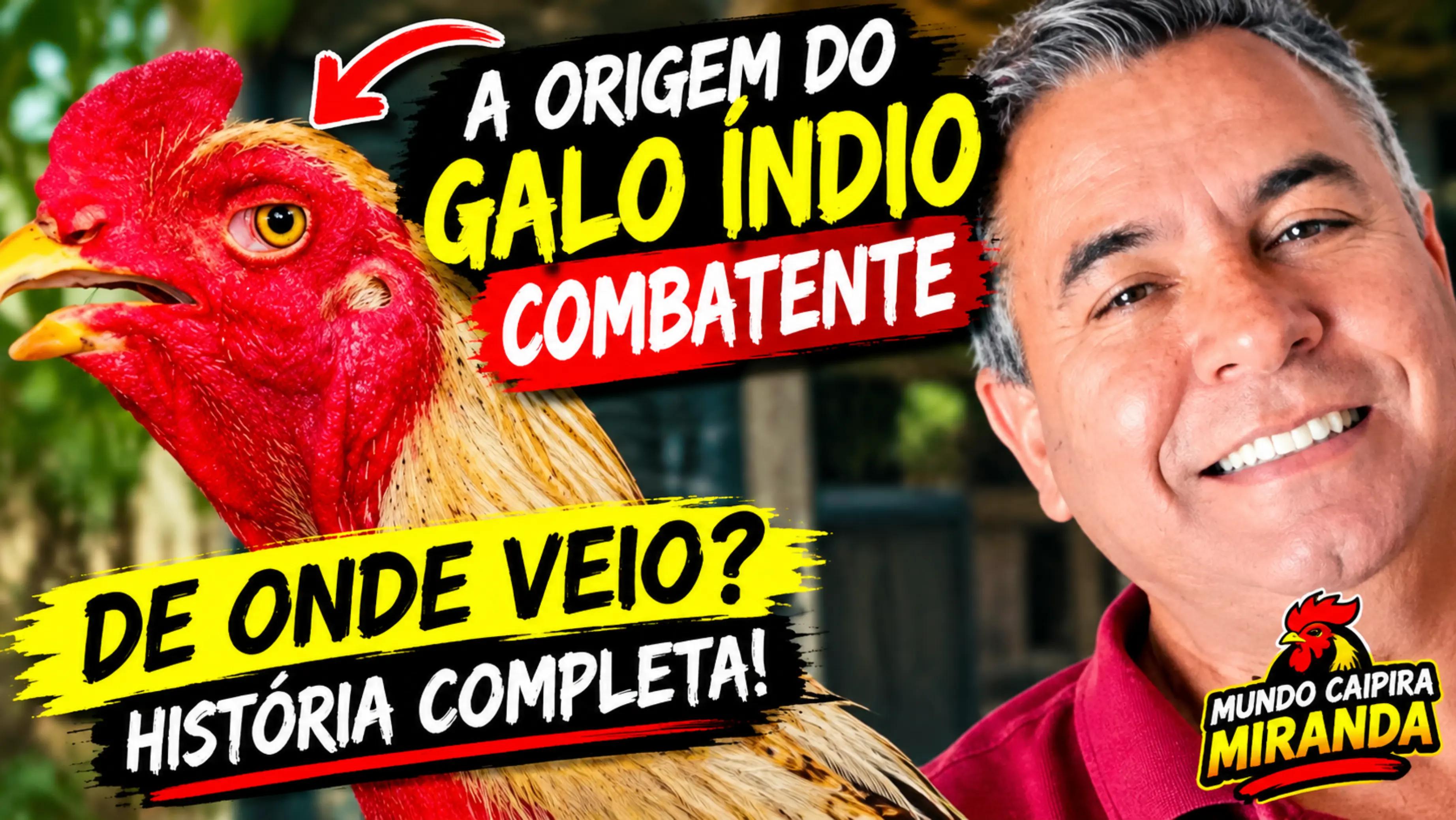 @MUNDO CAIPIRA MIRANDA
