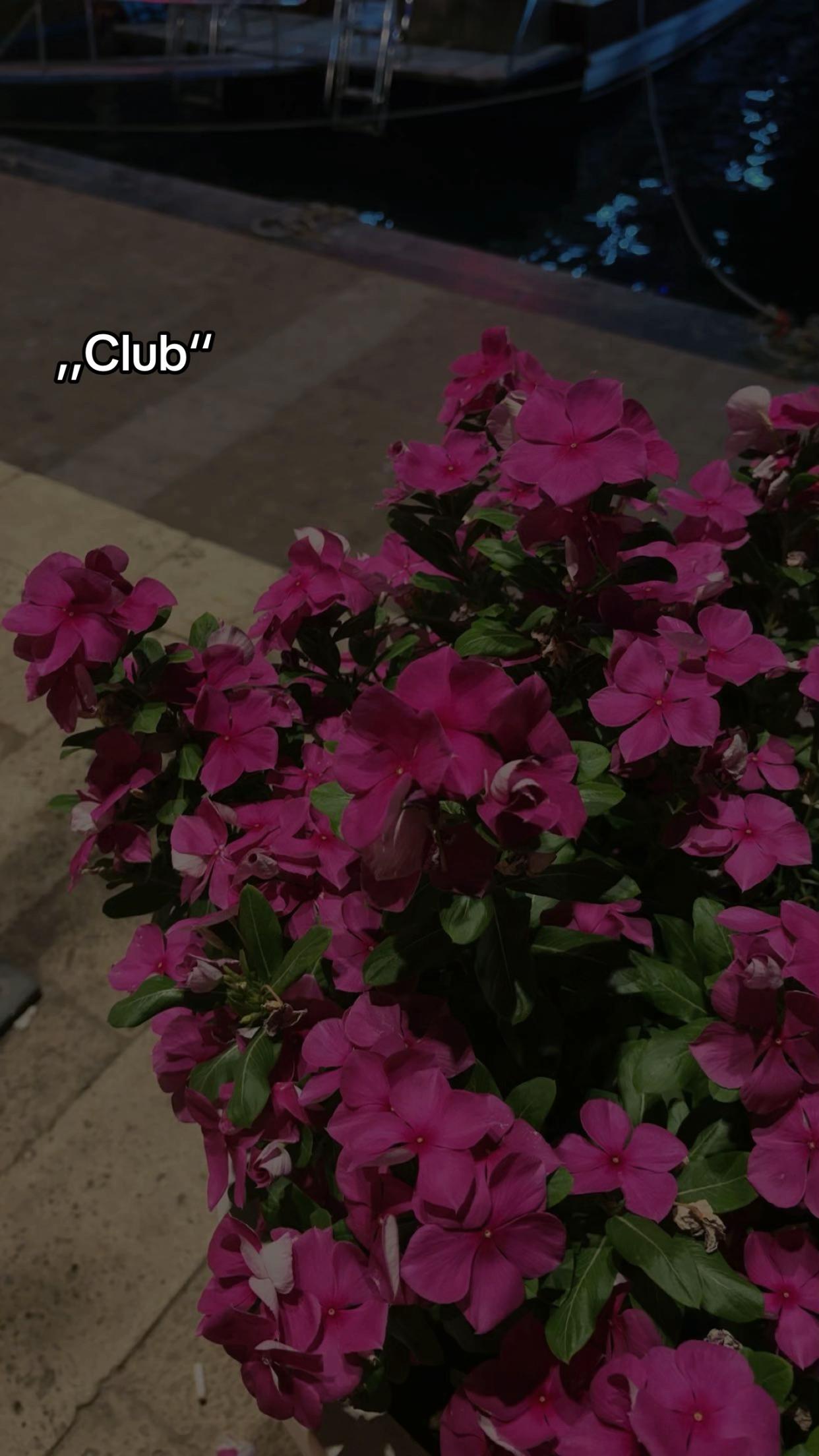 @￴￴￴￴￴￴￴￴￴ ￴￴￴￴￴￴￴￴￴￴￴ ￴￴