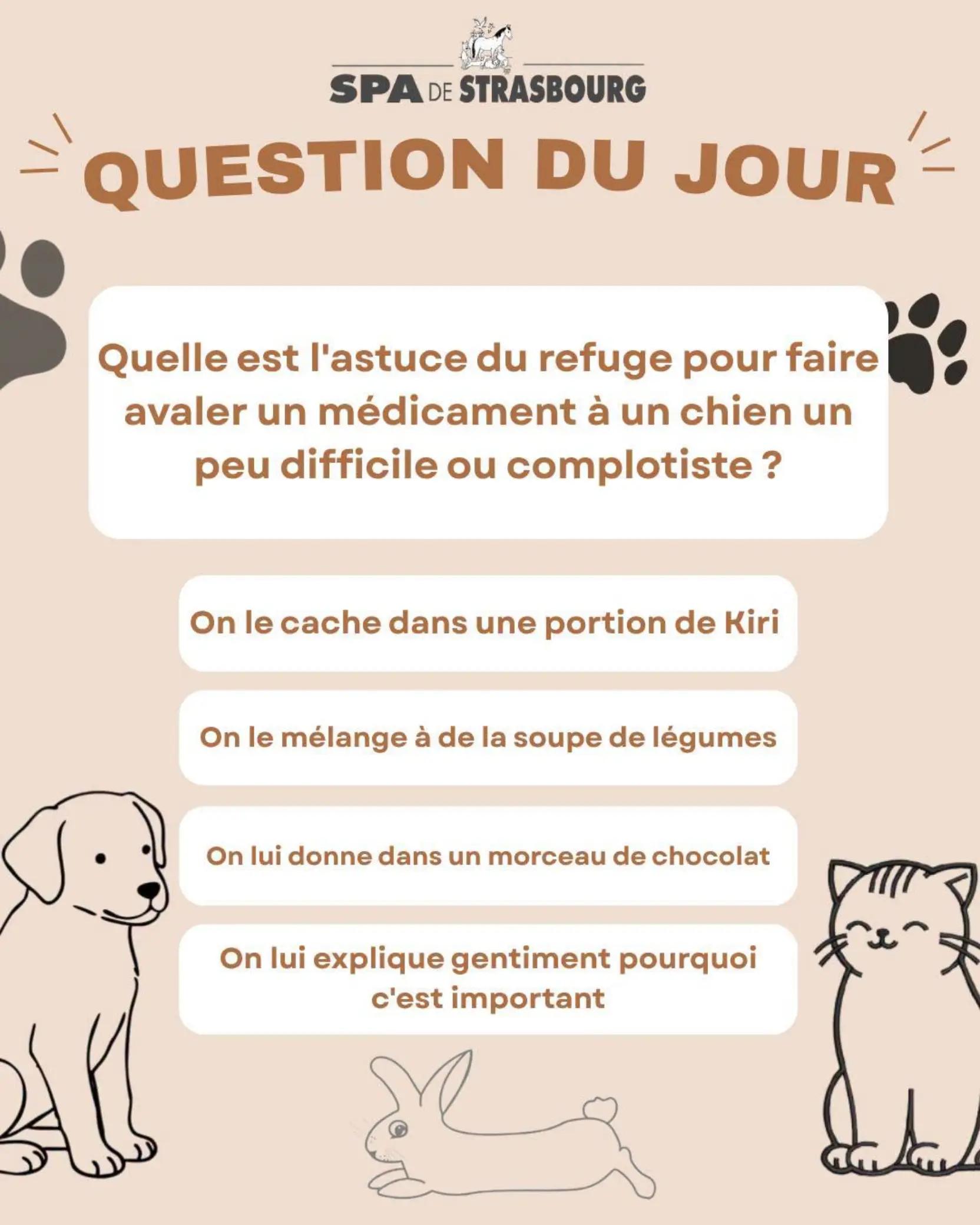 @spa_strasbourg