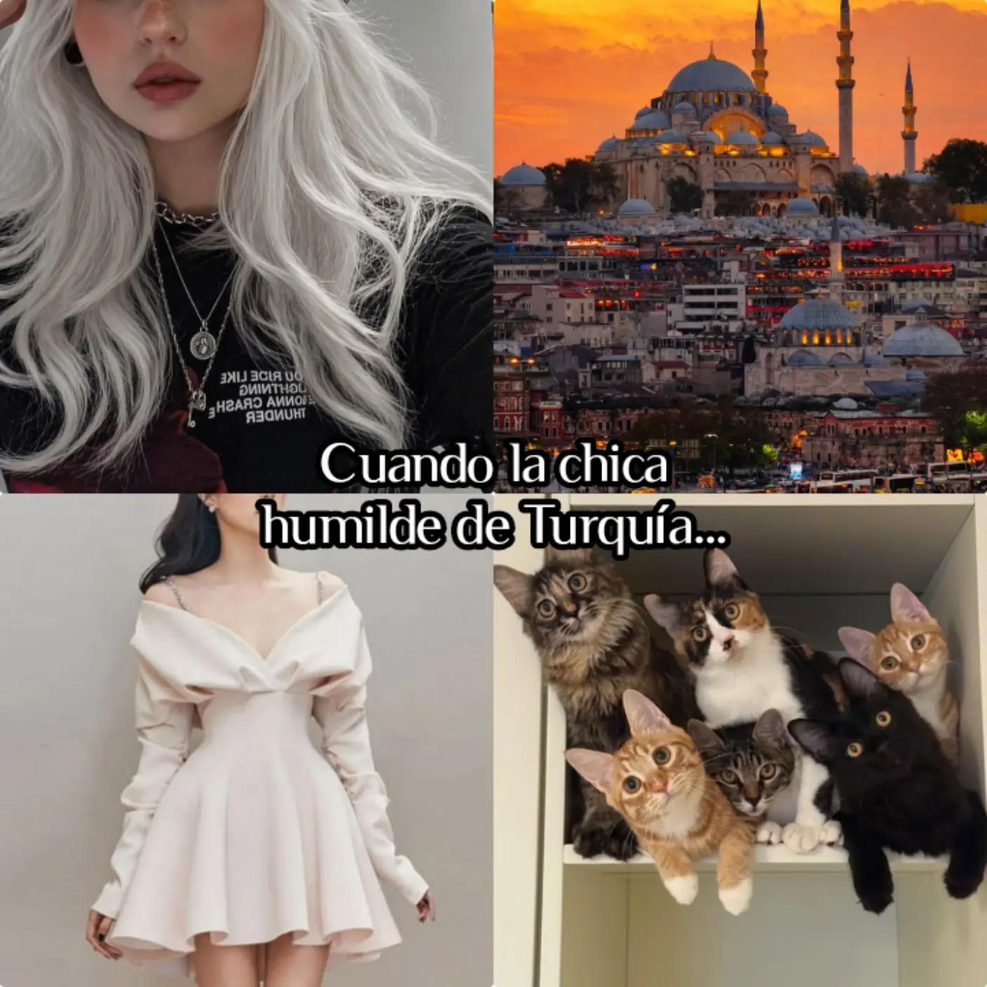 @LizGL