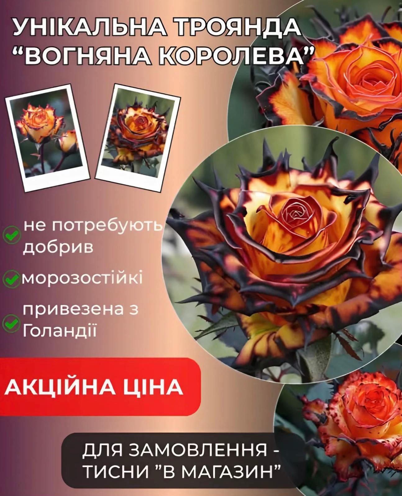@Buy store shop