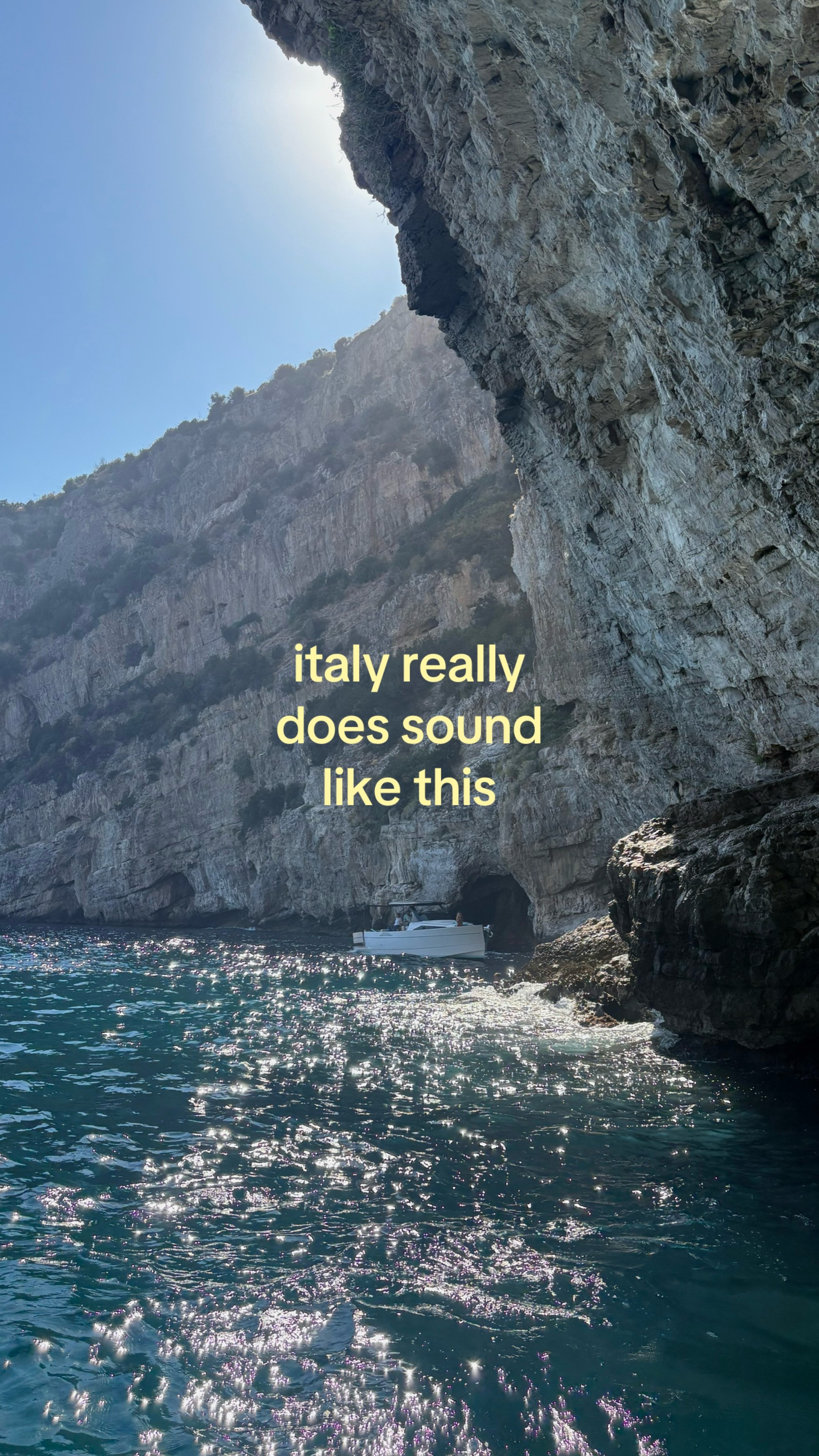 @orcasrcool