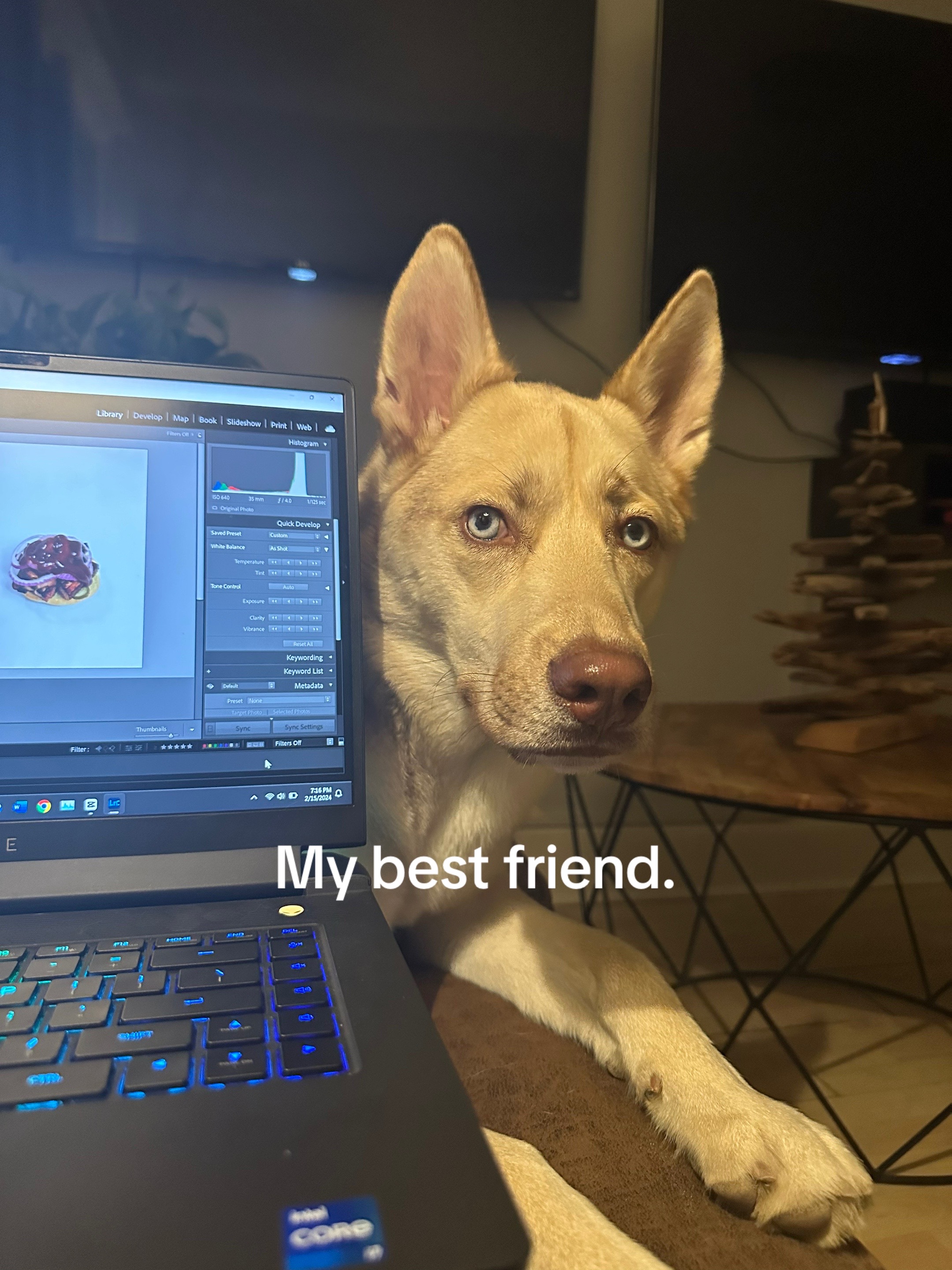 @Finn the Shepsky