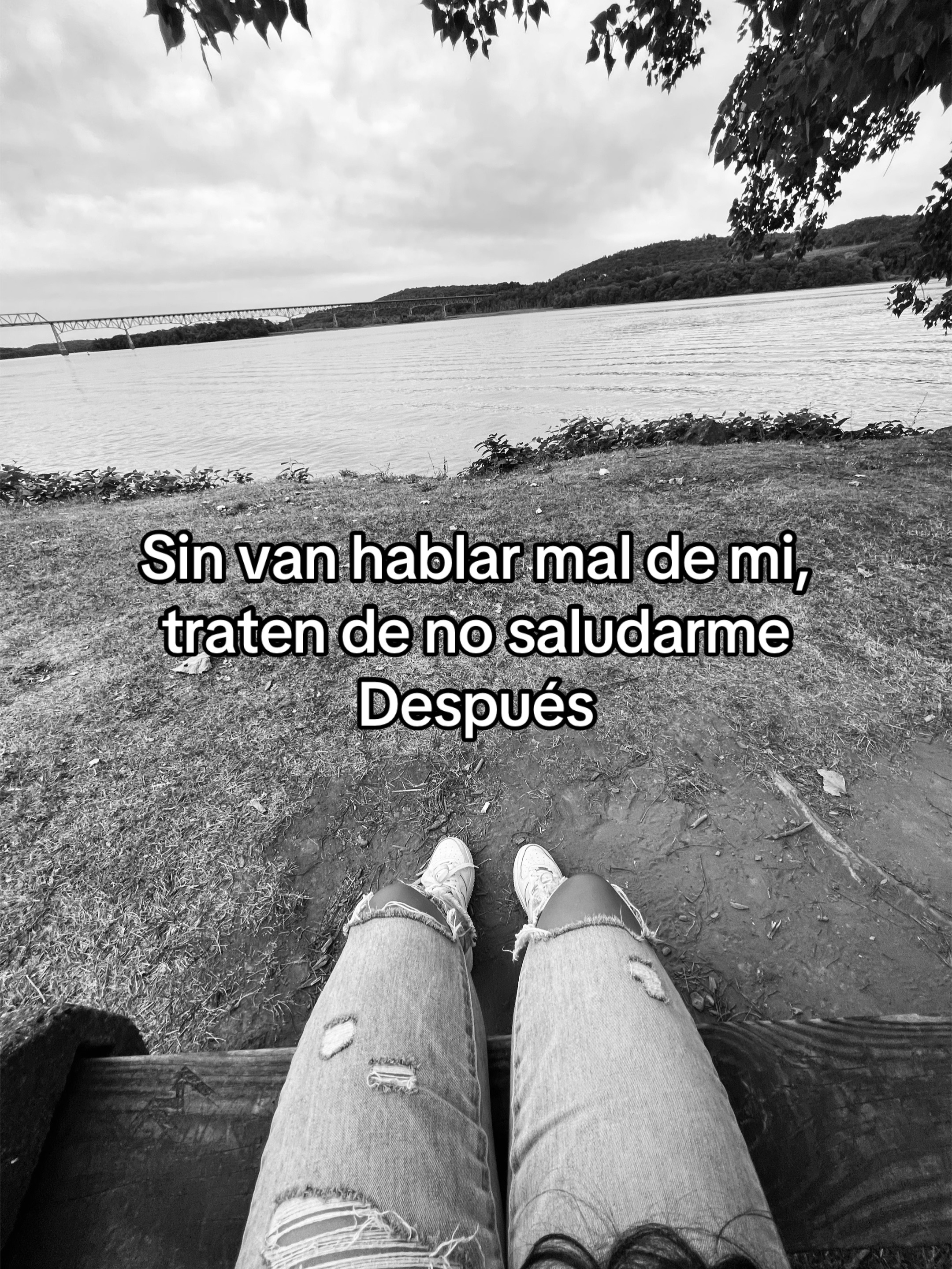 @Scarleth Hernandez