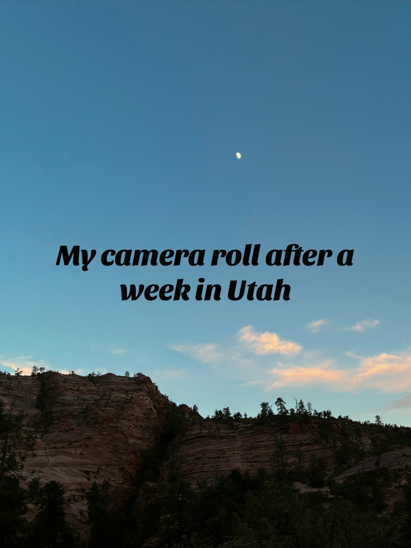@Avalynn ☦️🩺