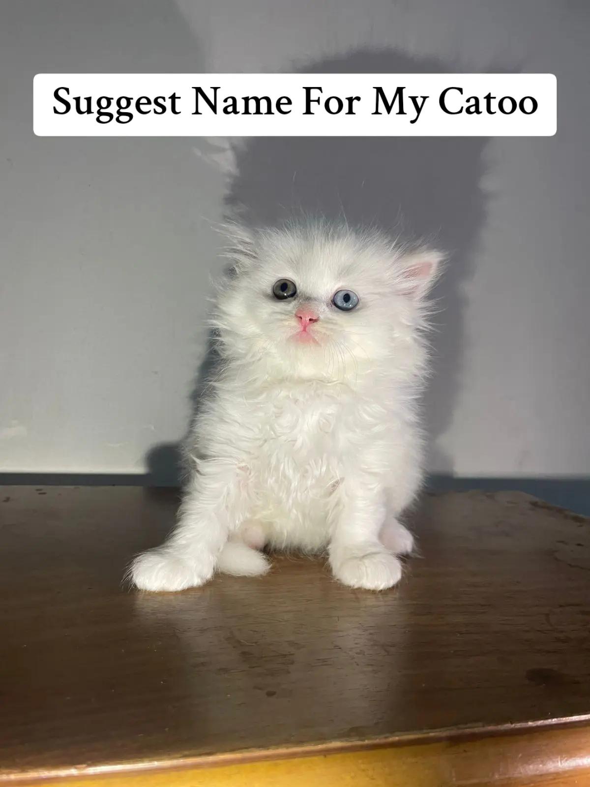 @ZøحaīB