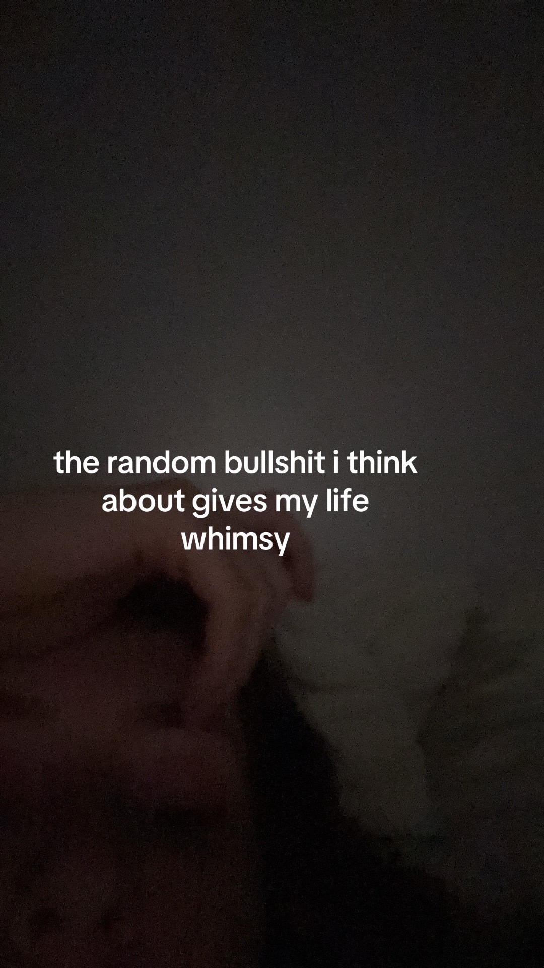 @user137829242