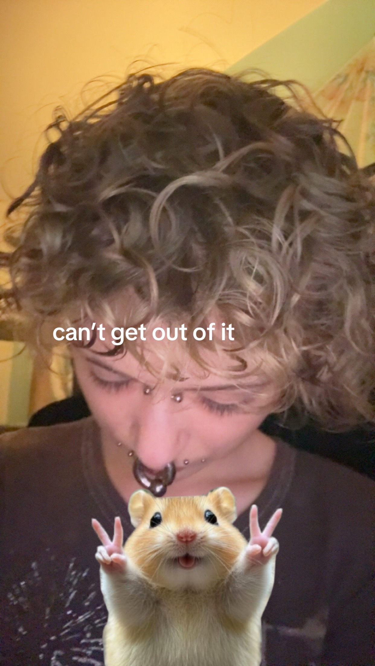 @pomegranatetampon
