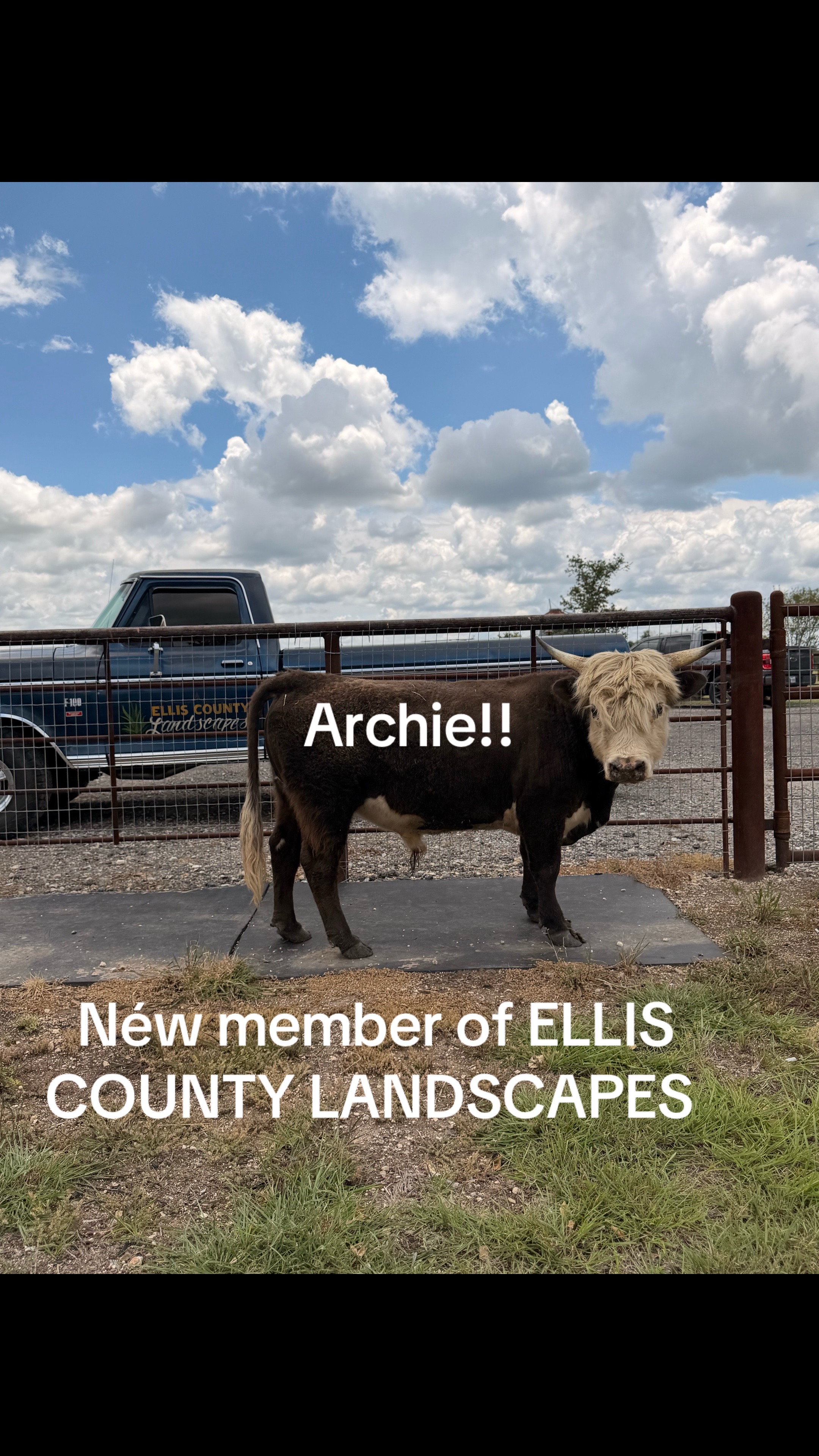 @elliscountylandscapes