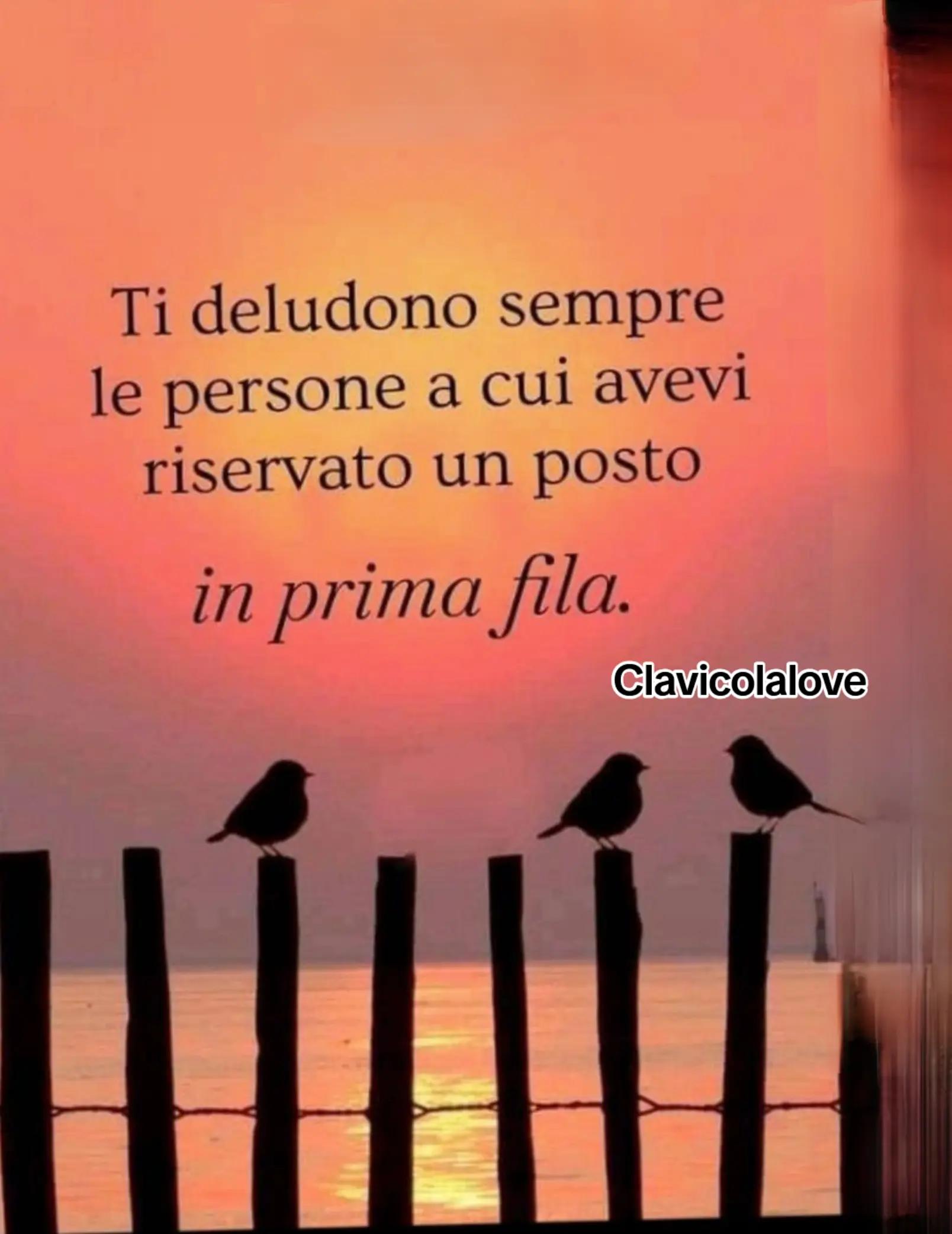 @AntoCarrara