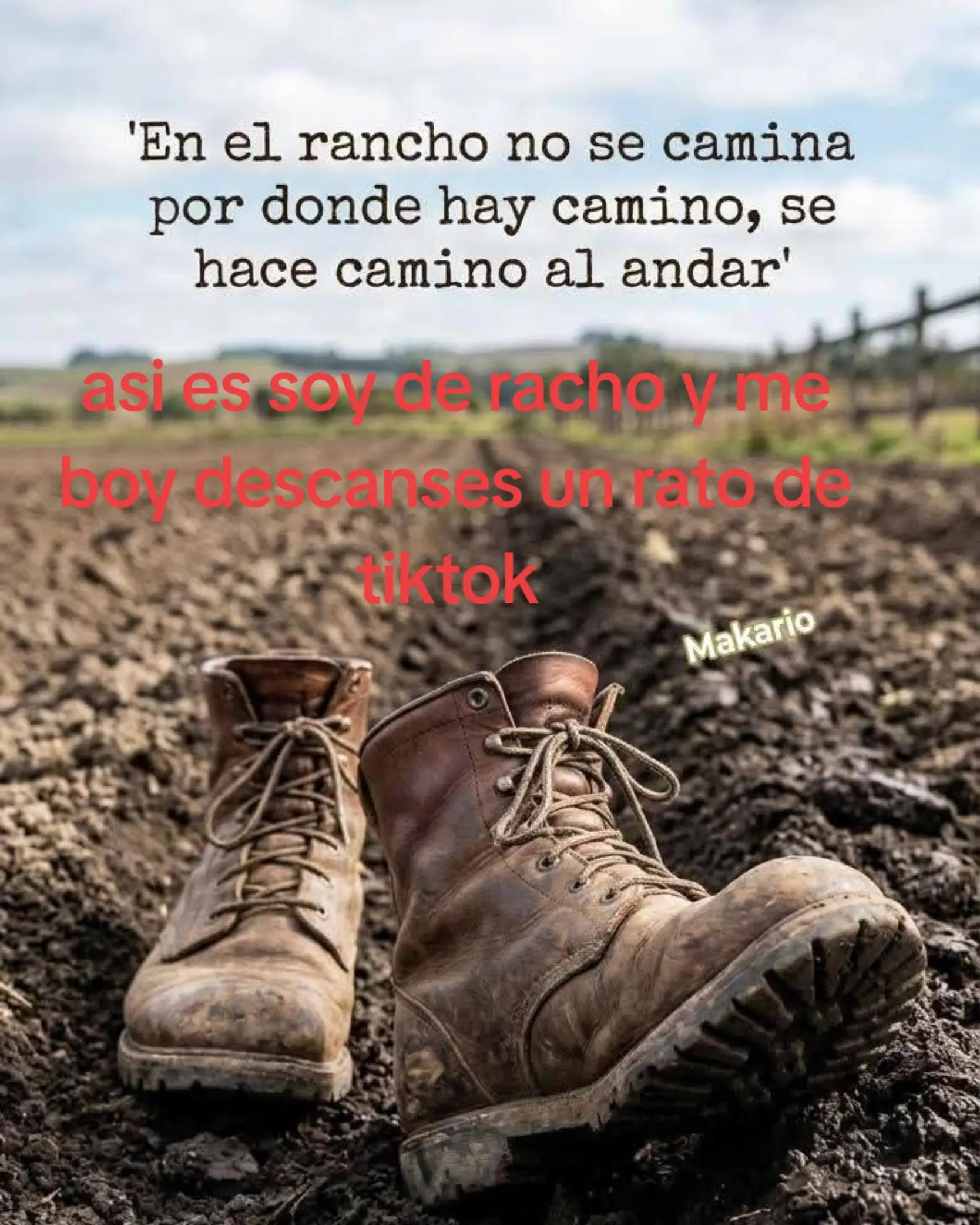 @Estela Pruneda372