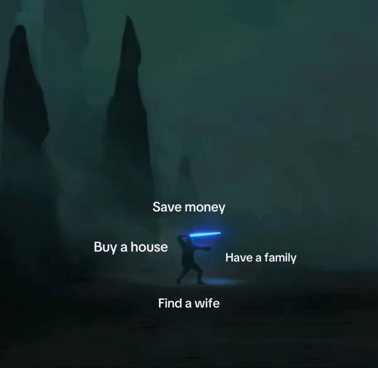 @3L ZETA🦈