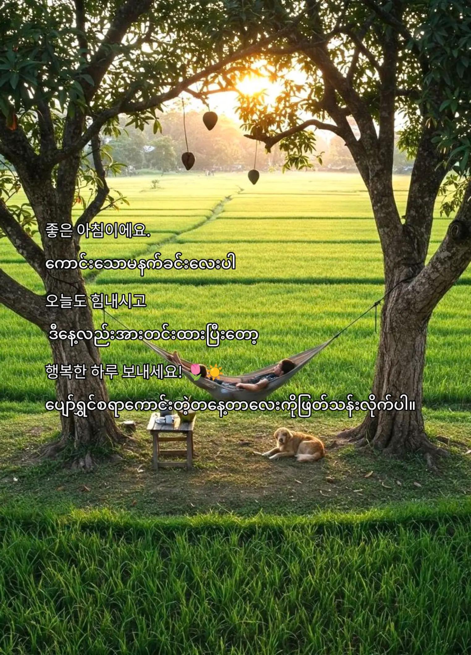 @HannaSu 🌼