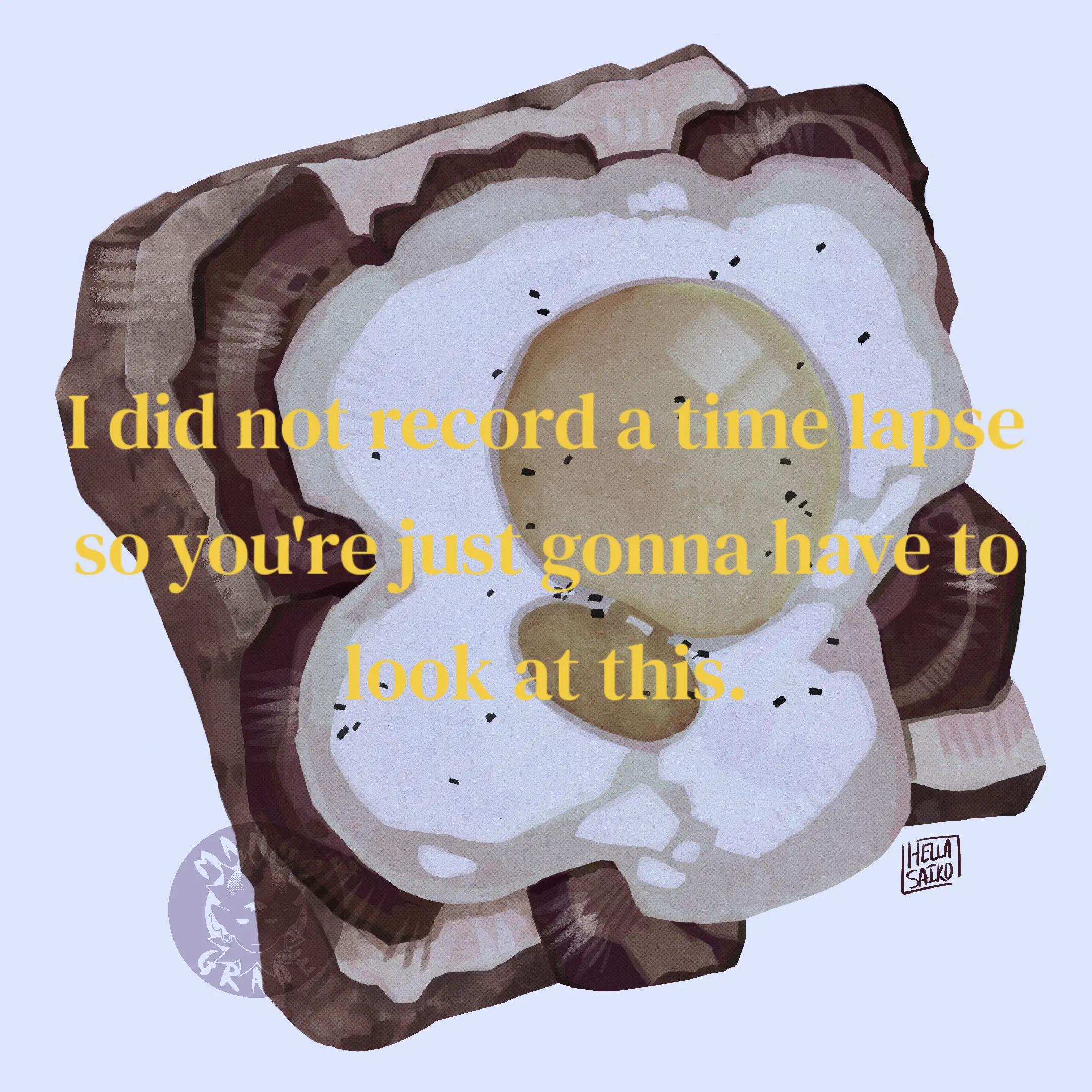 @🥭