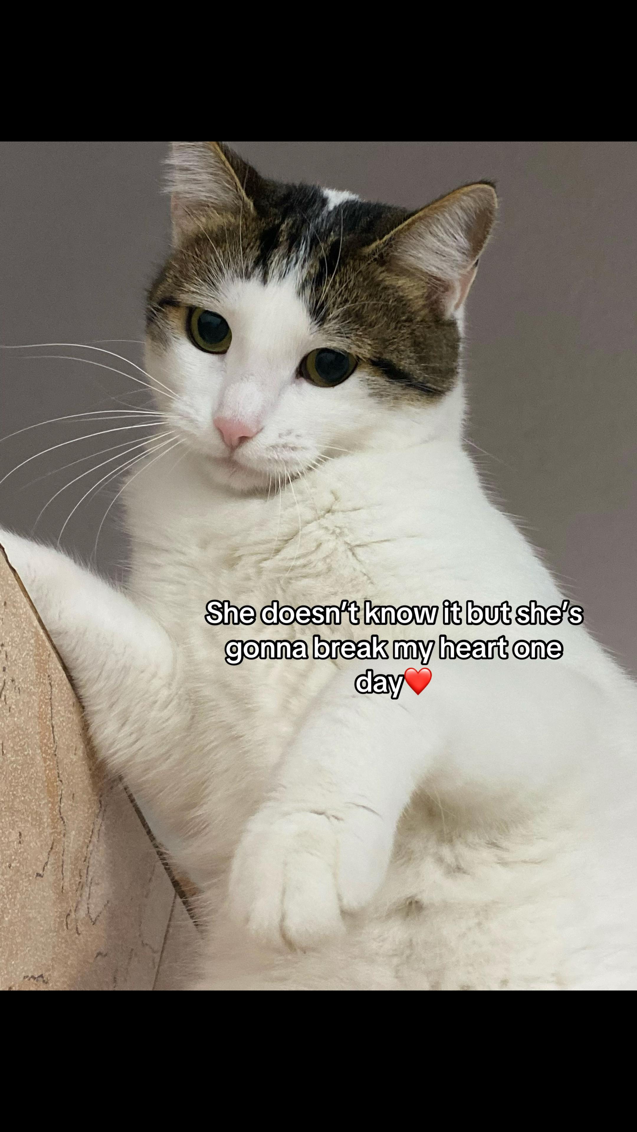 @Kiki
