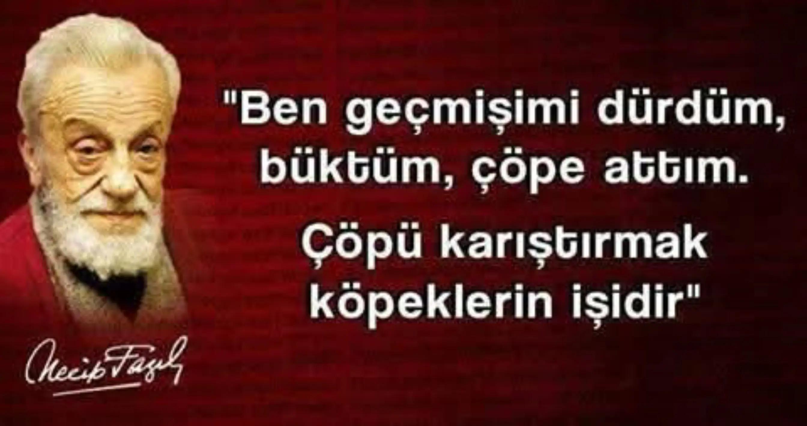 @karadayı