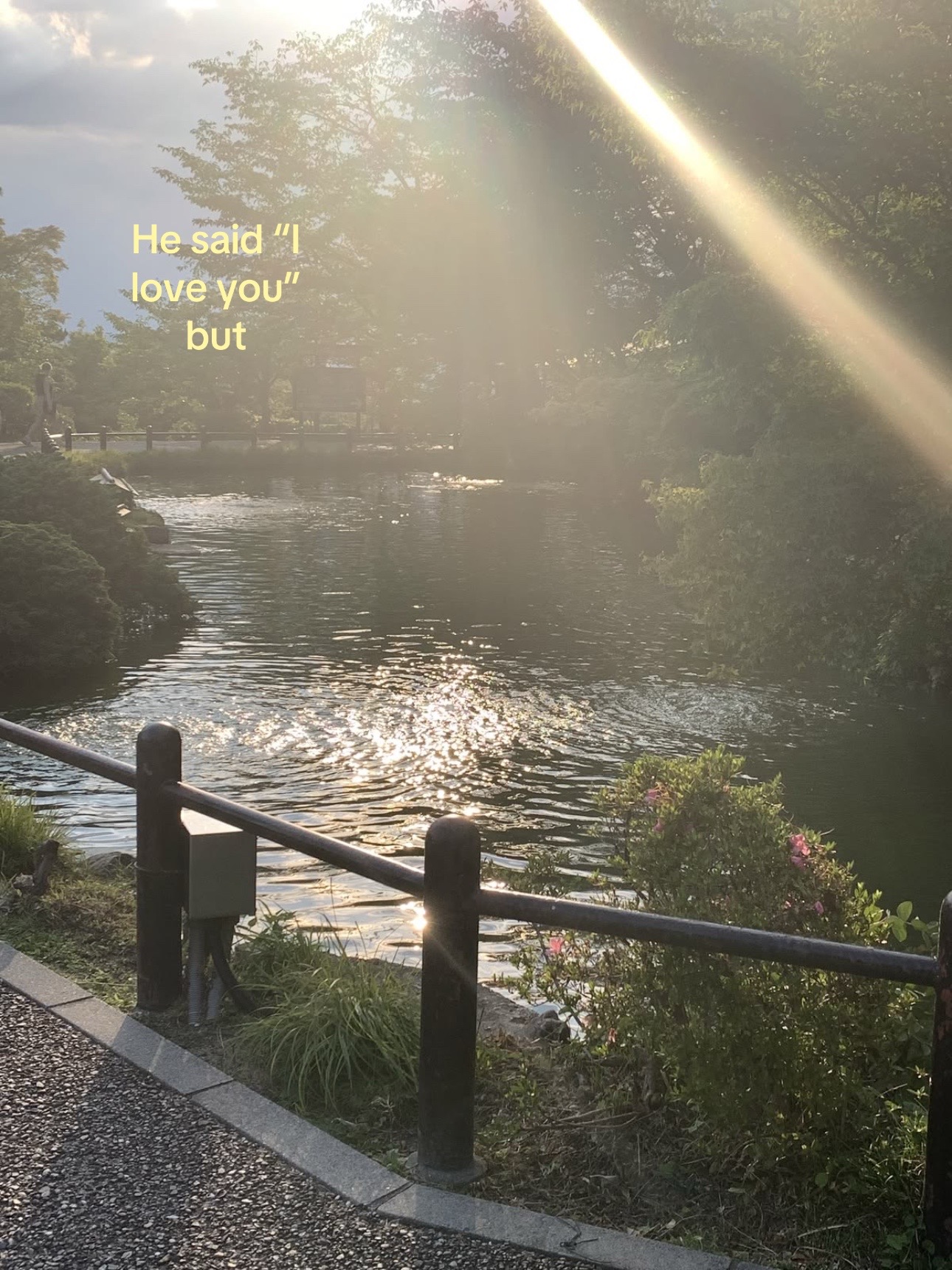 @ℳᥫ᭡