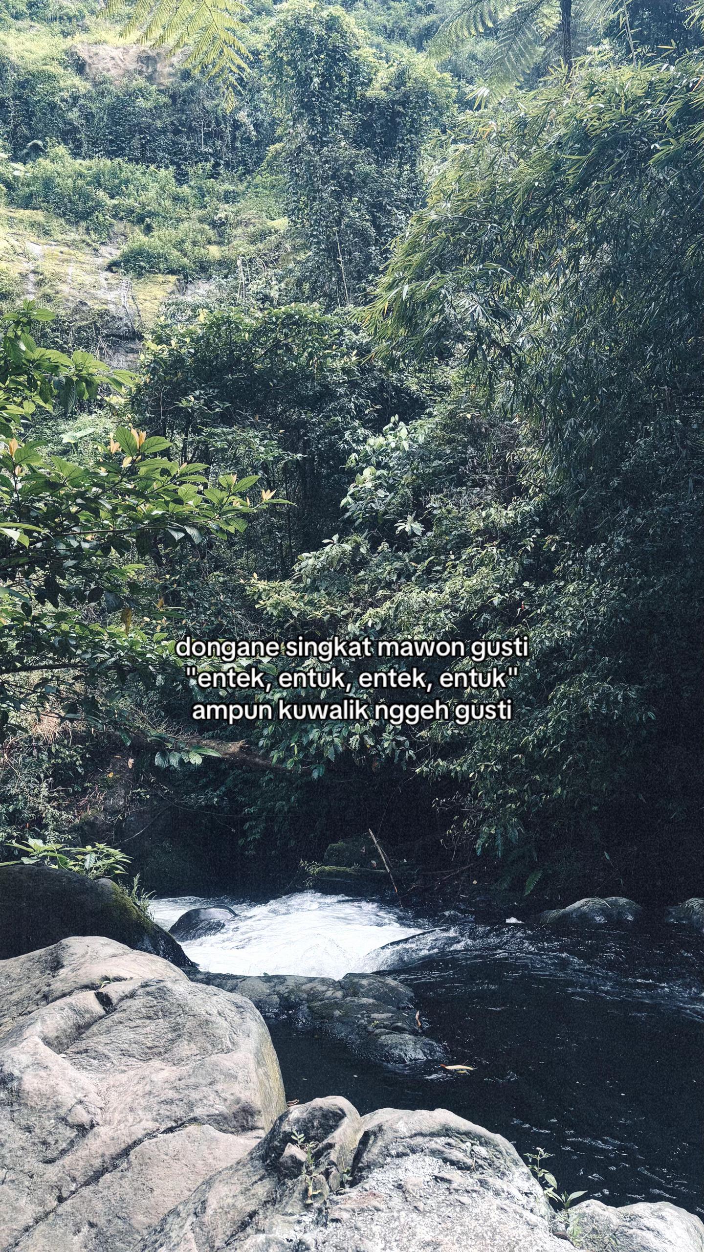 @l o p p y
