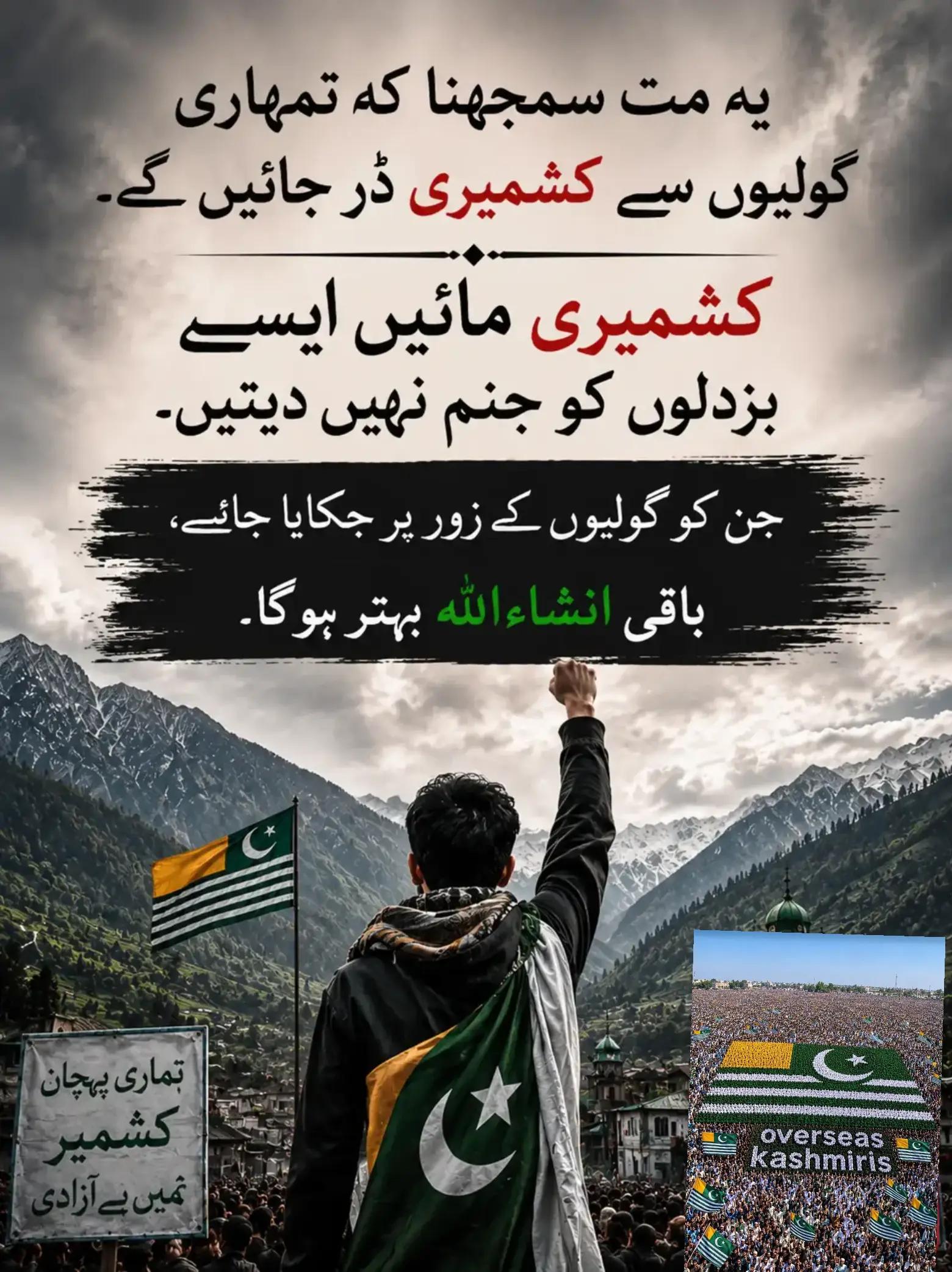 @Sardar Tabassum Khan