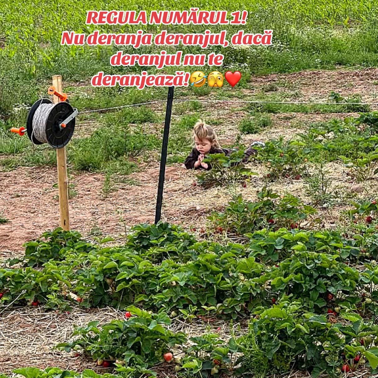 @Mămică de Ruben✨🤍